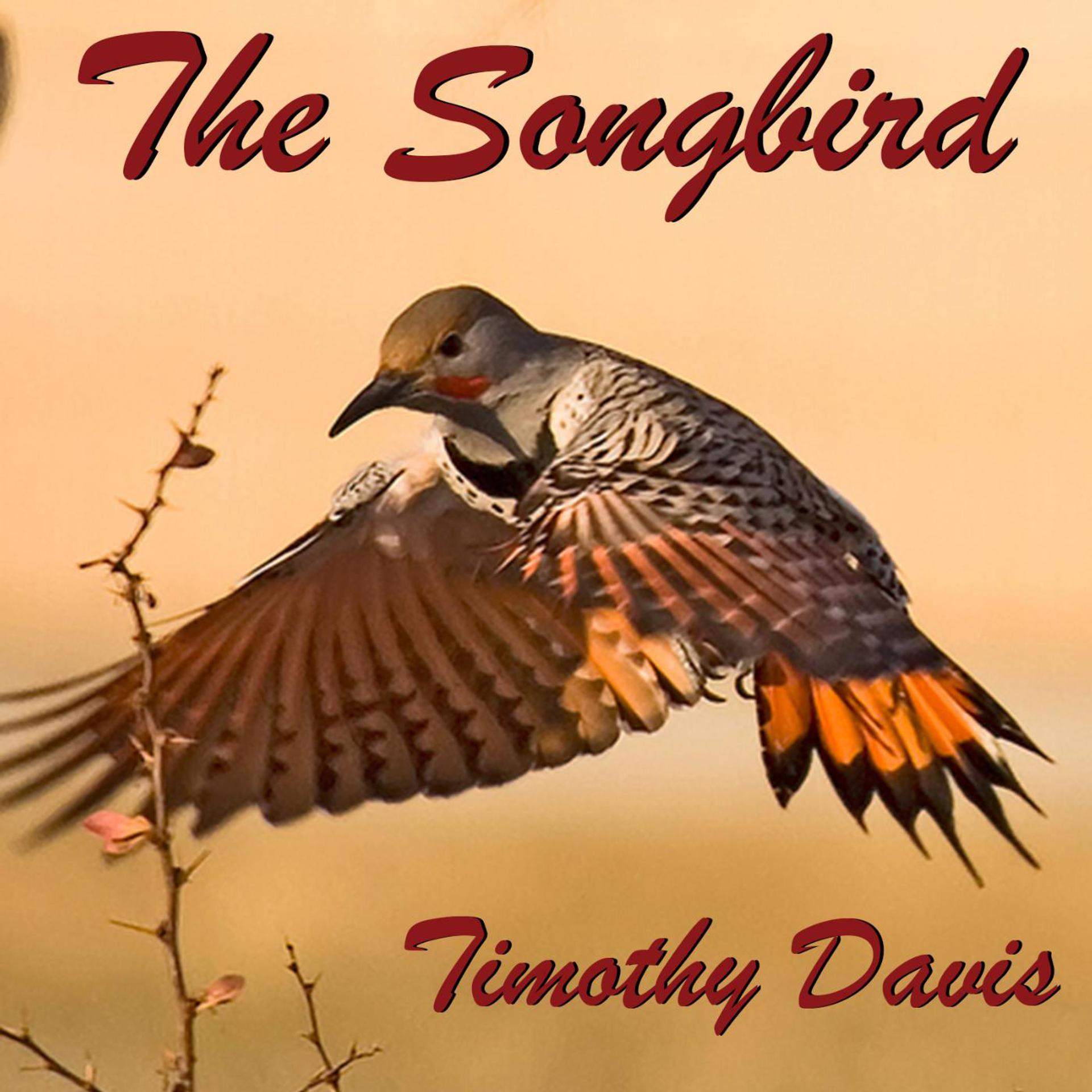 Постер альбома The Songbird