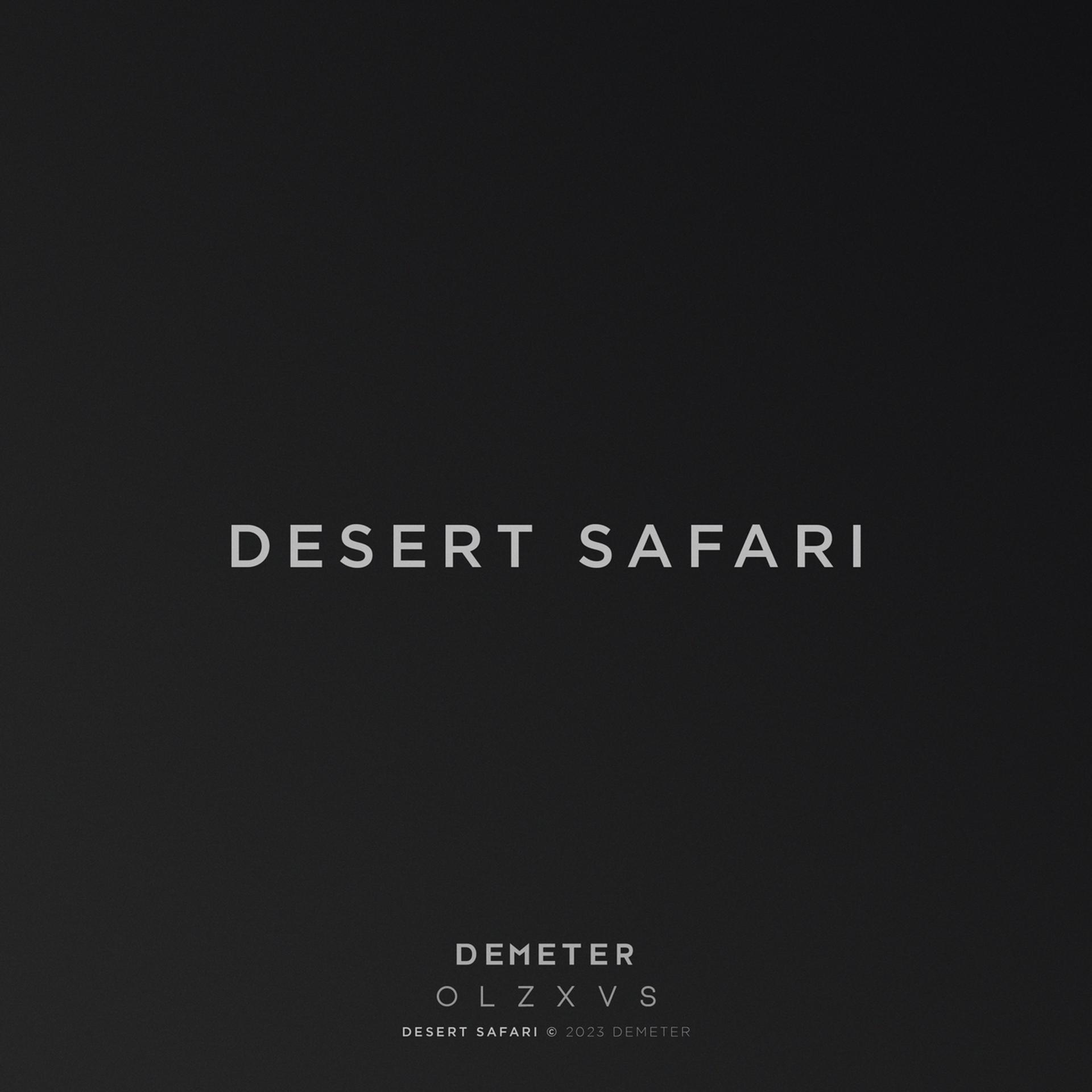 Постер альбома Desert Safari