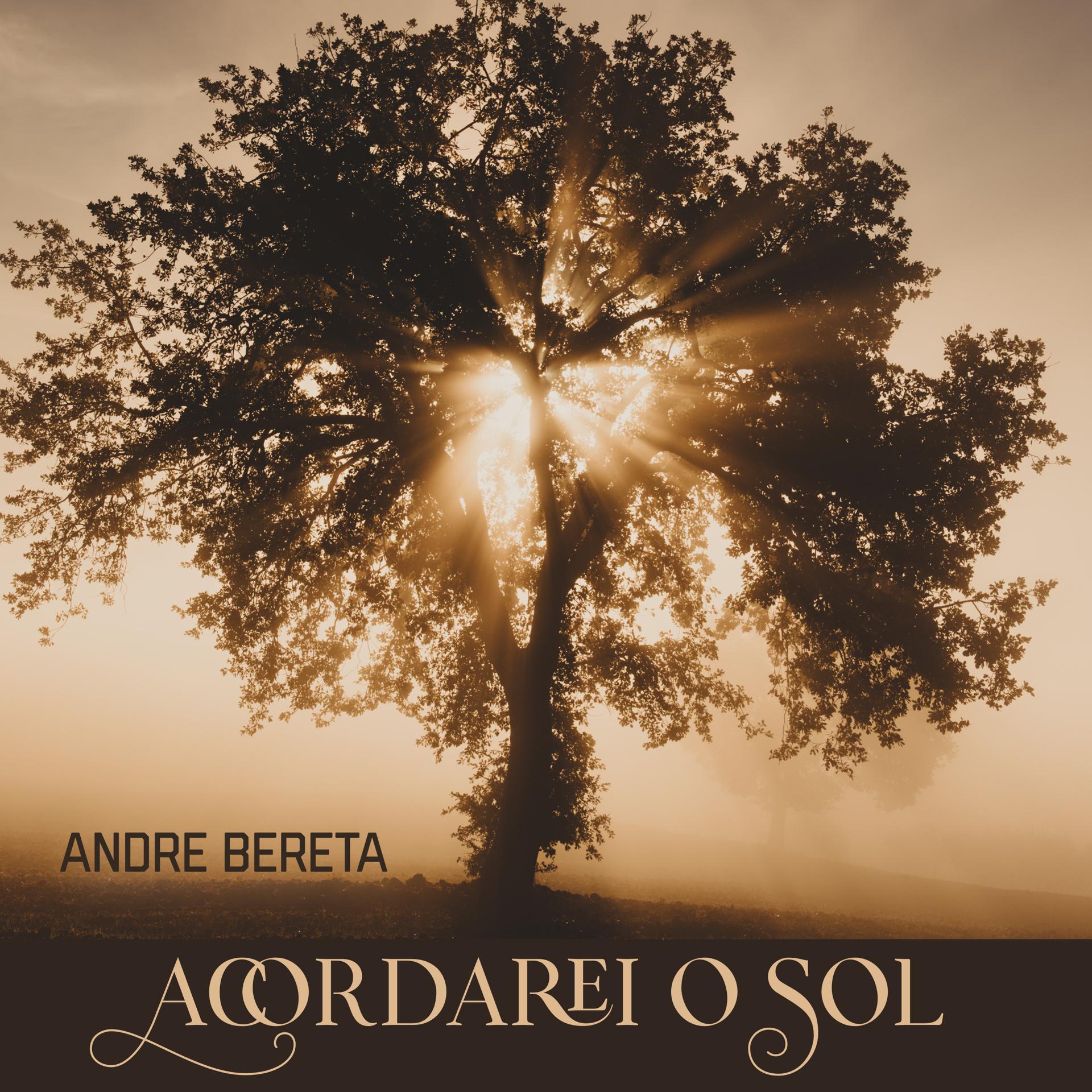 Постер альбома Acordarei o Sol