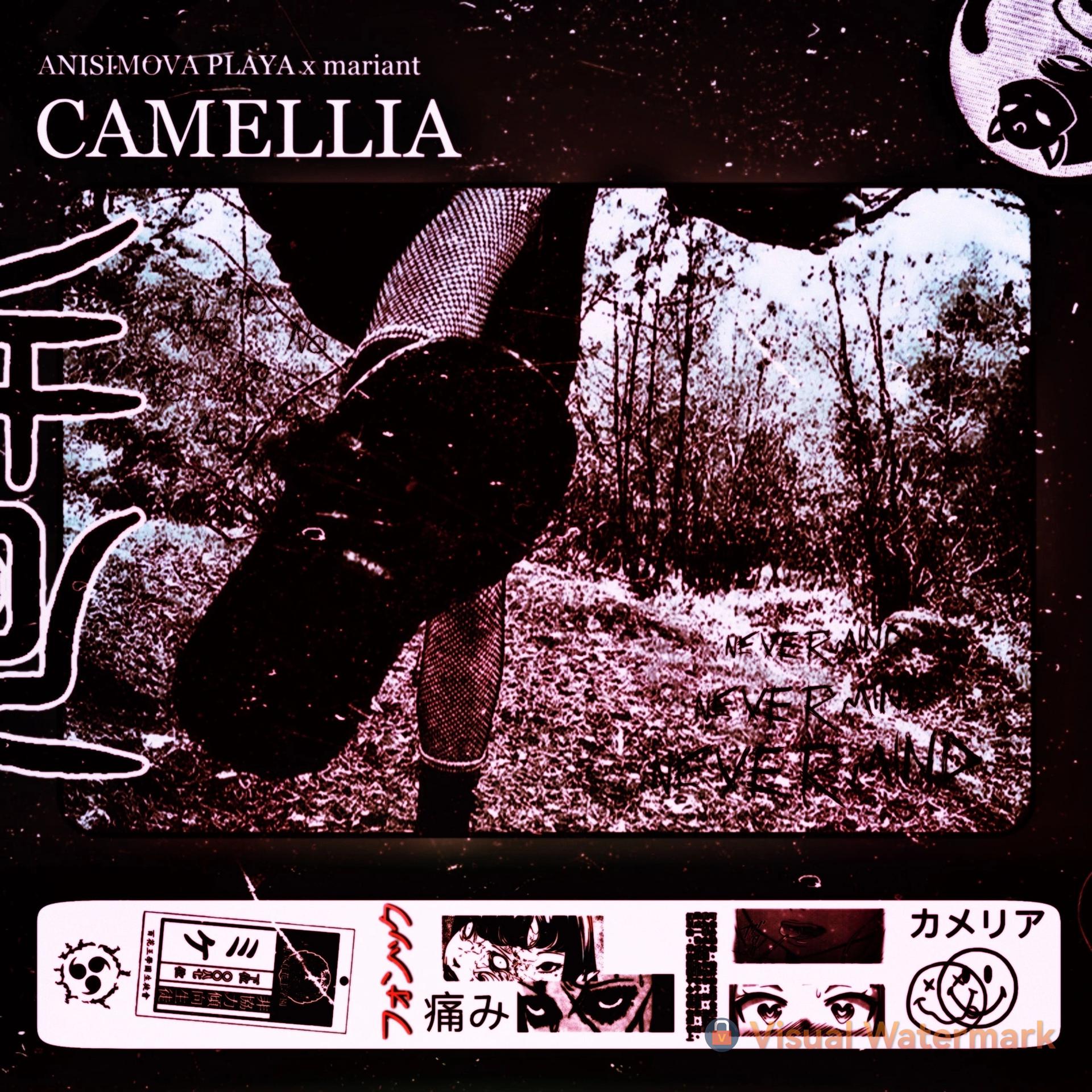 Постер альбома CAMELLIA