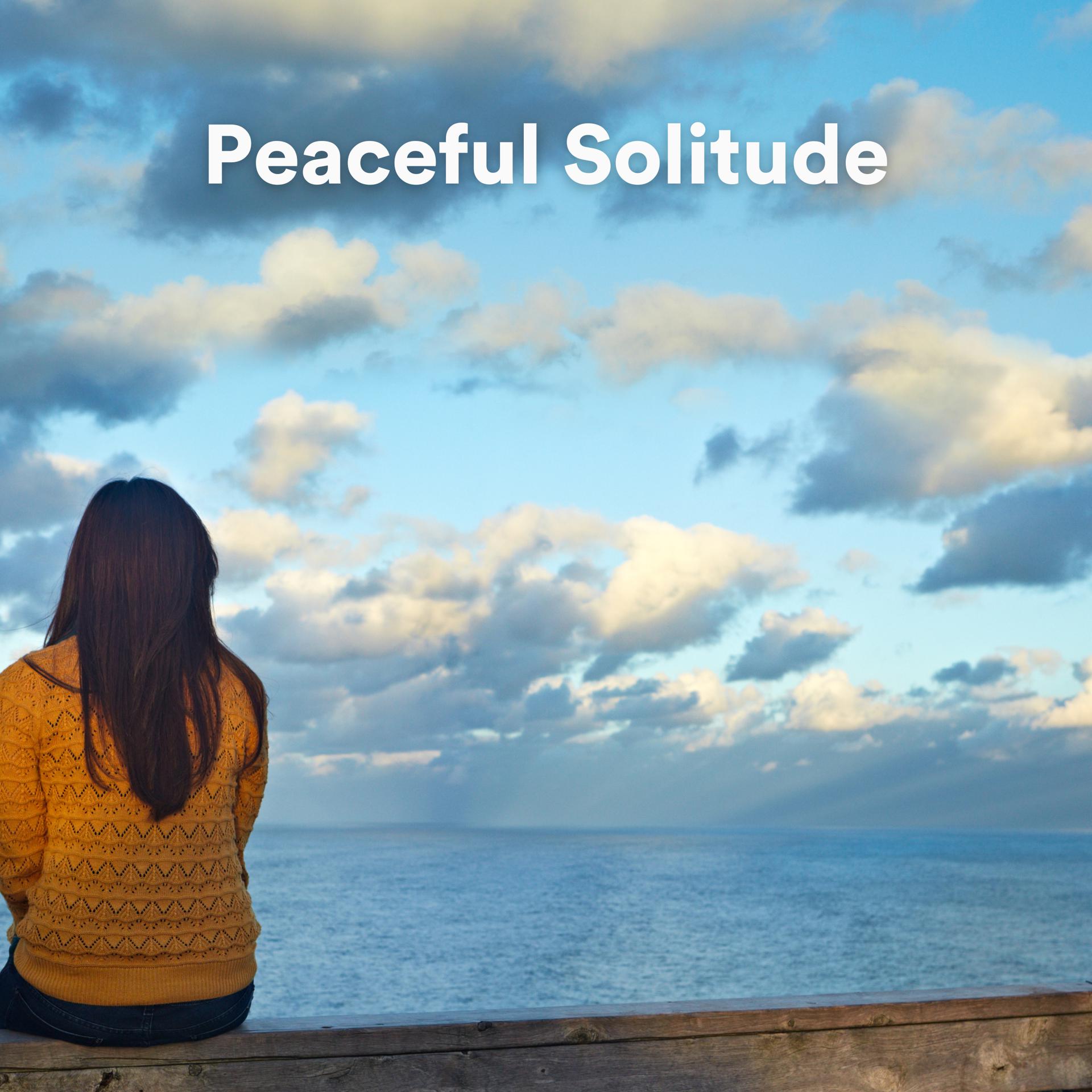 Постер альбома Peaceful Solitude