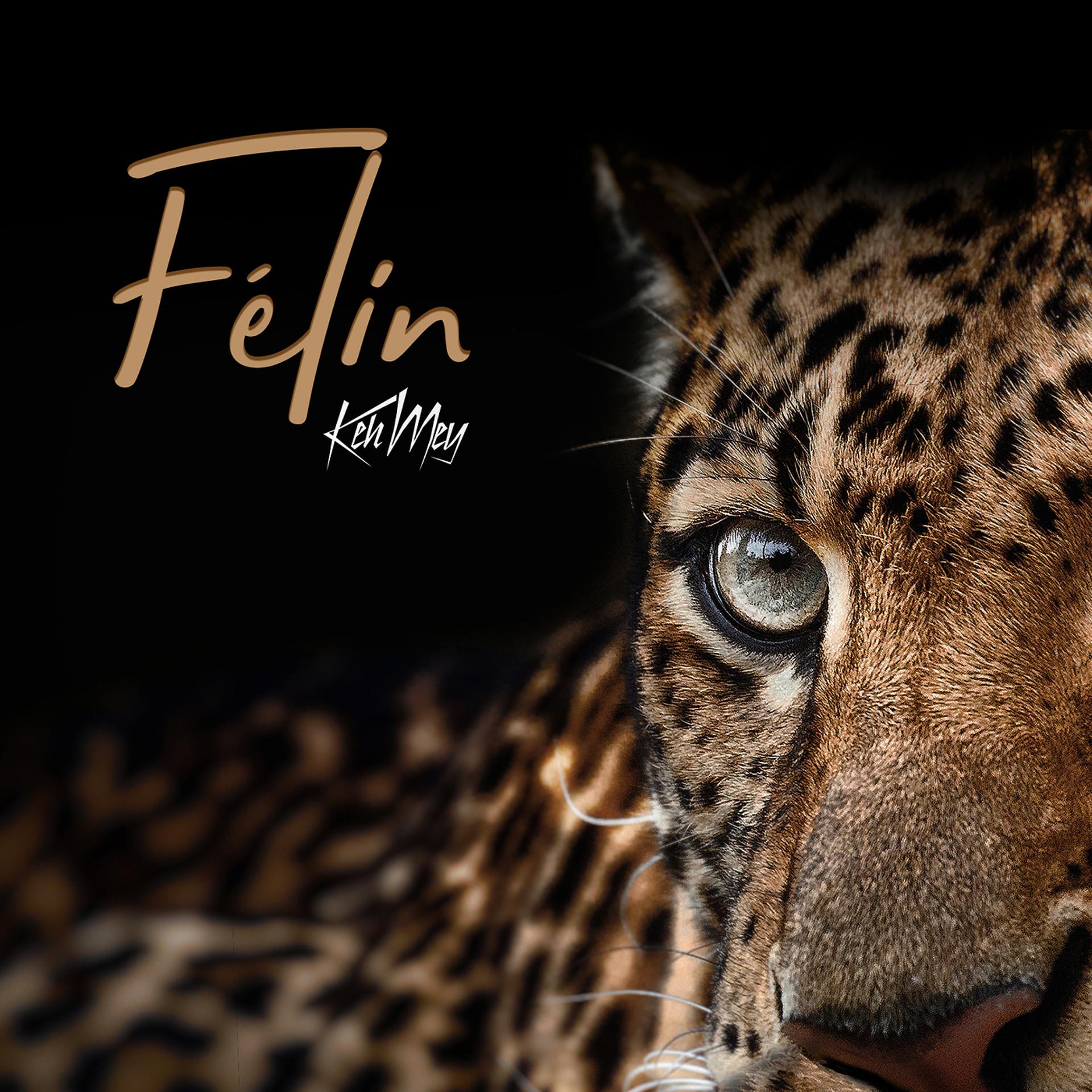 Постер альбома Félin