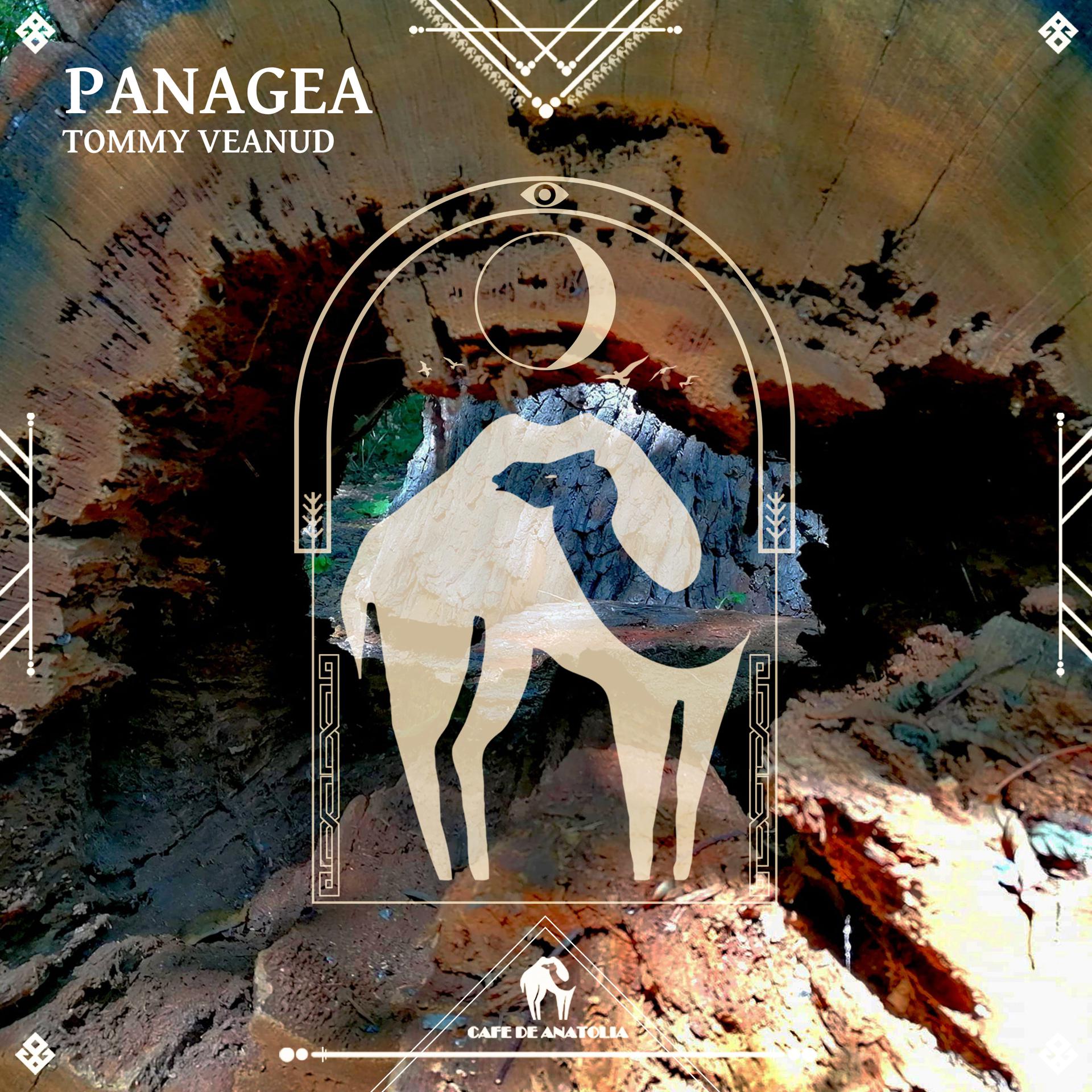 Постер альбома Panagea