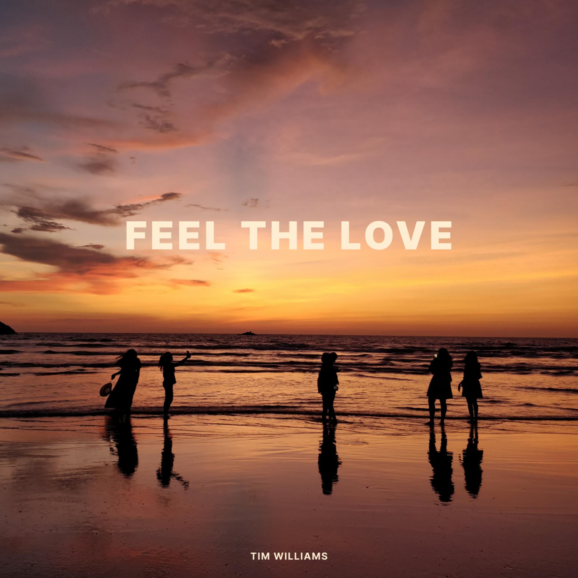 Постер альбома Feel The Love