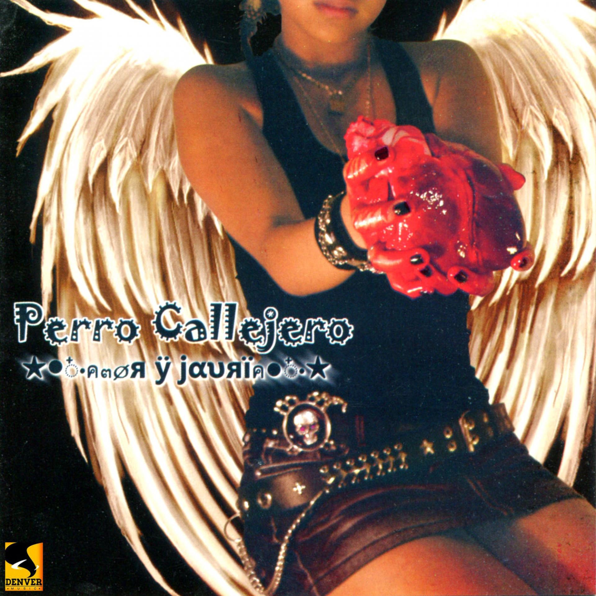 Постер альбома Amor y Jauría