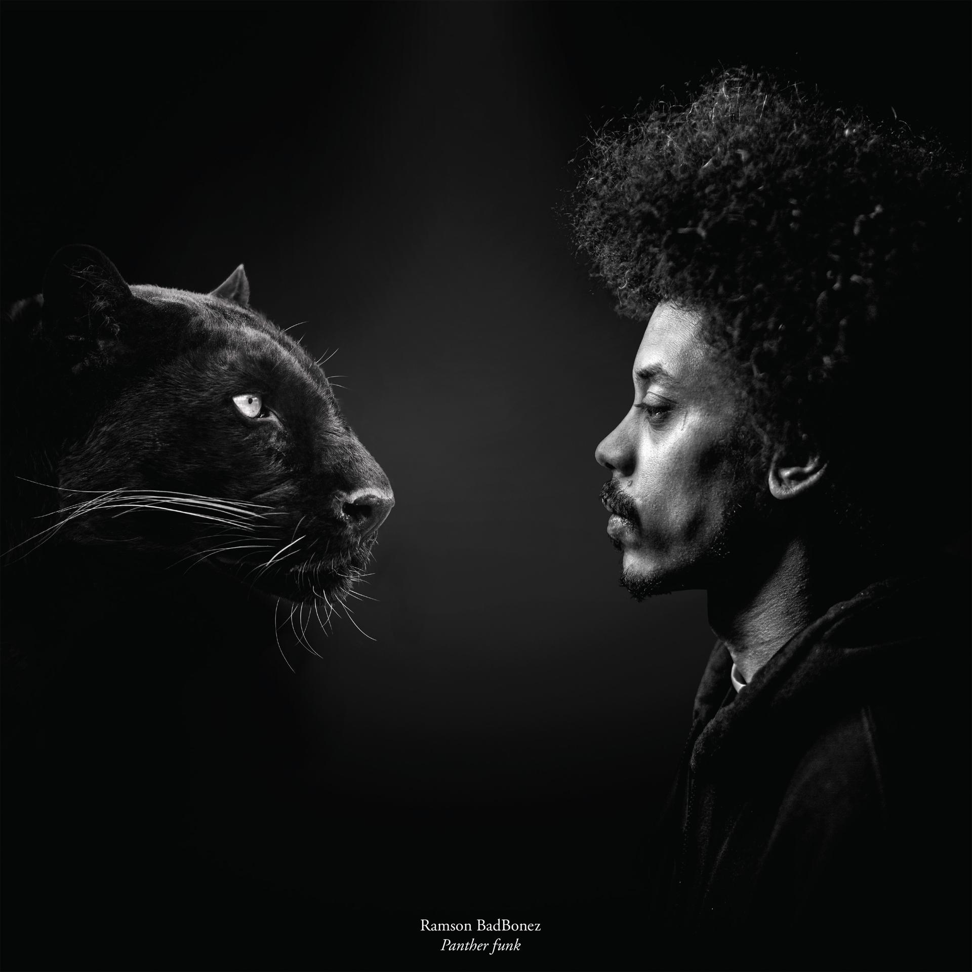 Постер альбома Panther Funk