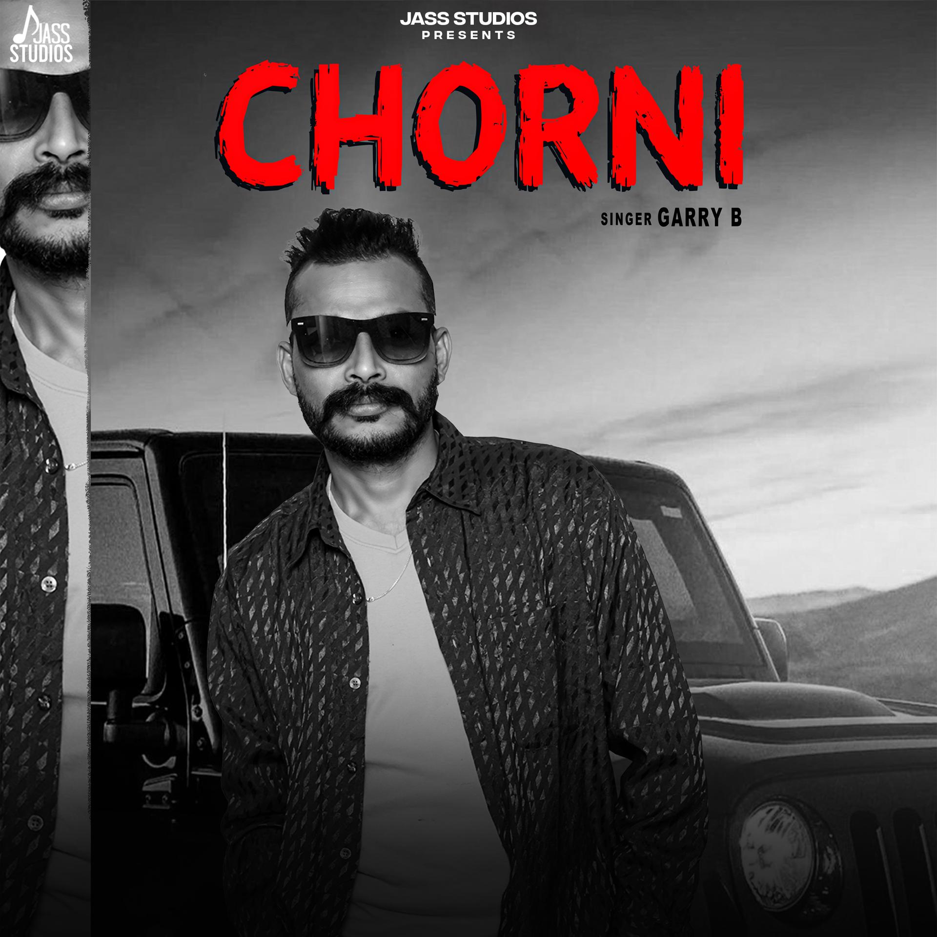 Постер альбома Chorni