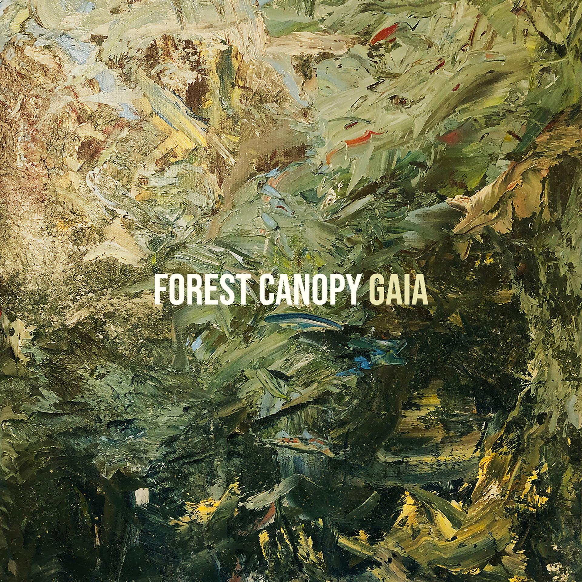 Постер альбома Forest Canopy