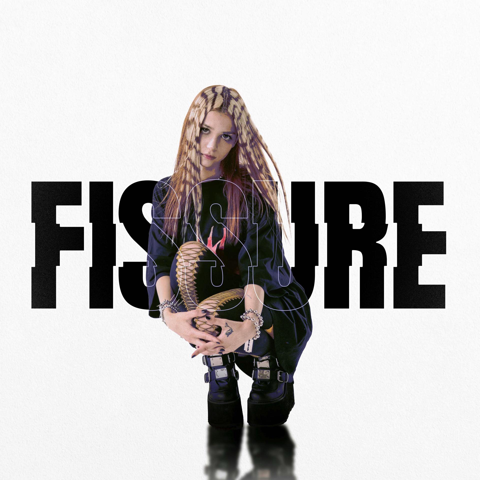 Постер альбома FISSURE