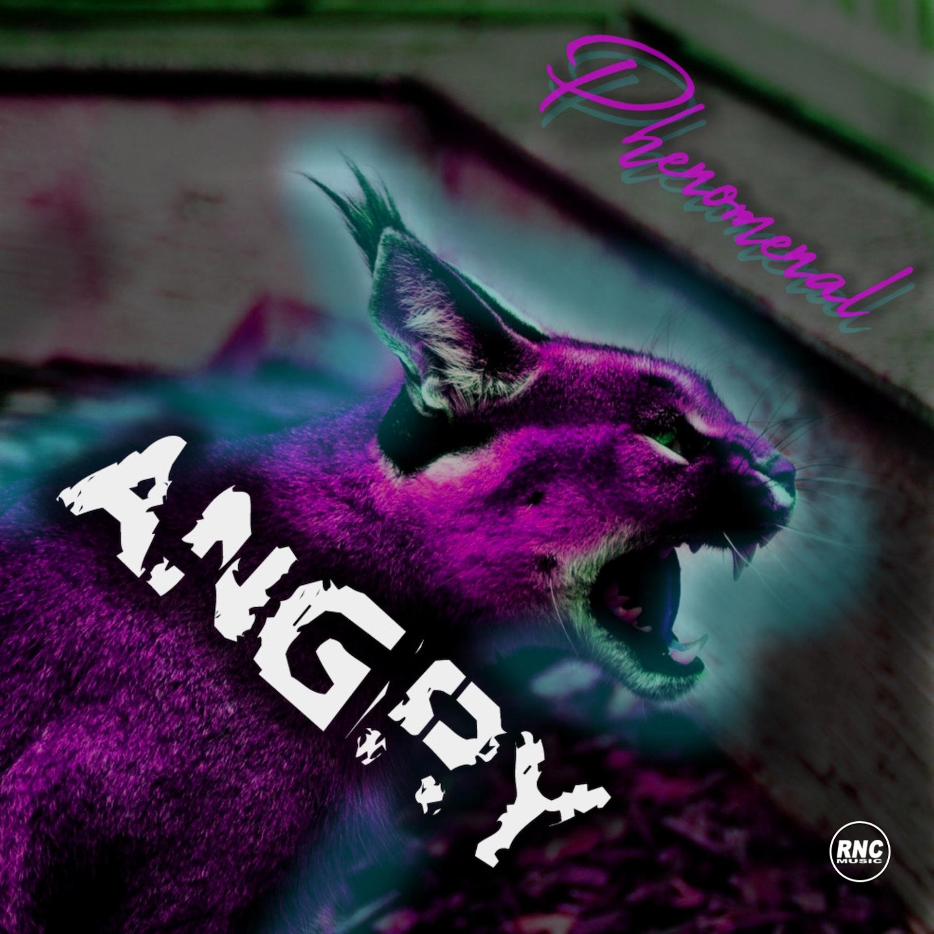 Постер альбома Angry