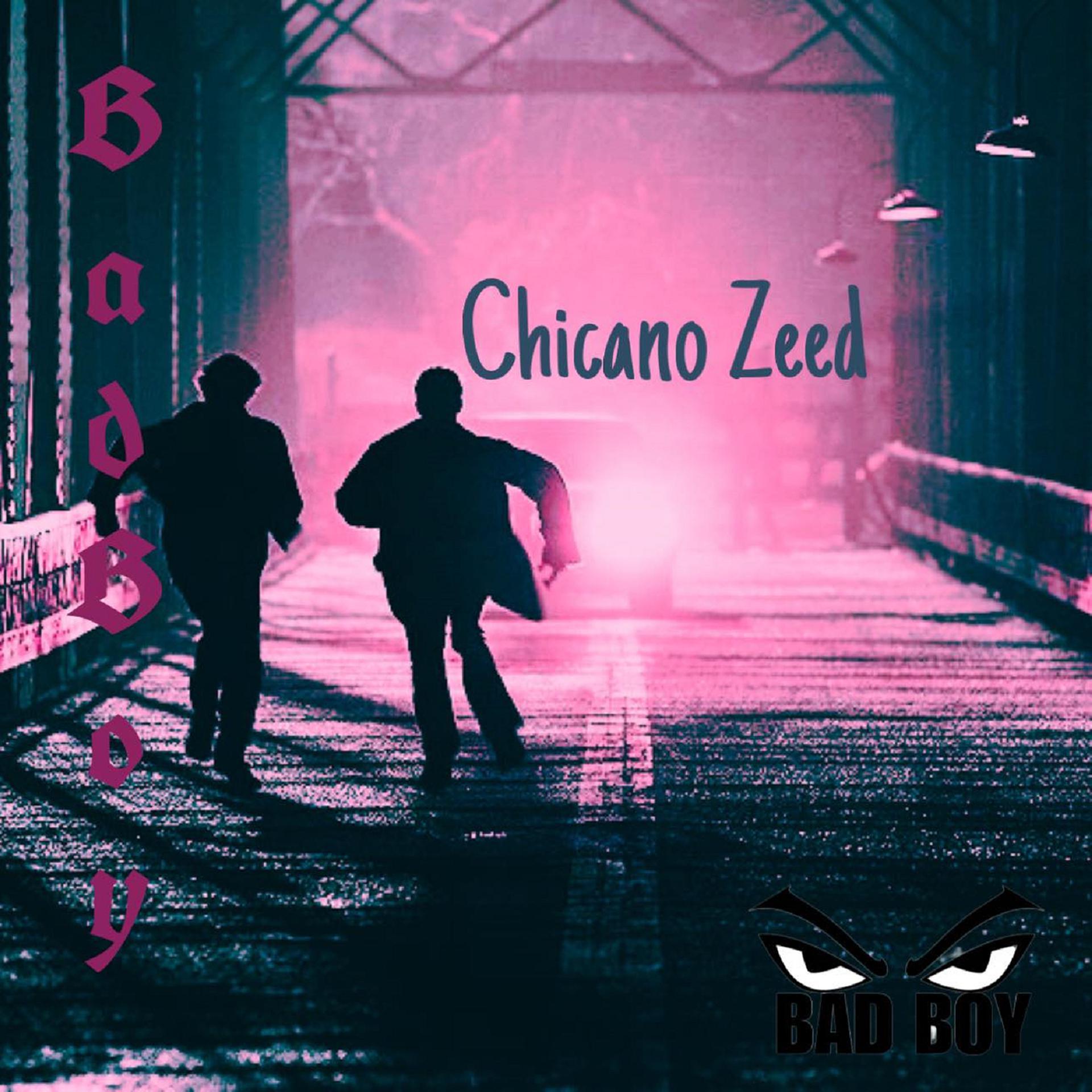 Постер альбома Chicano Zeed
