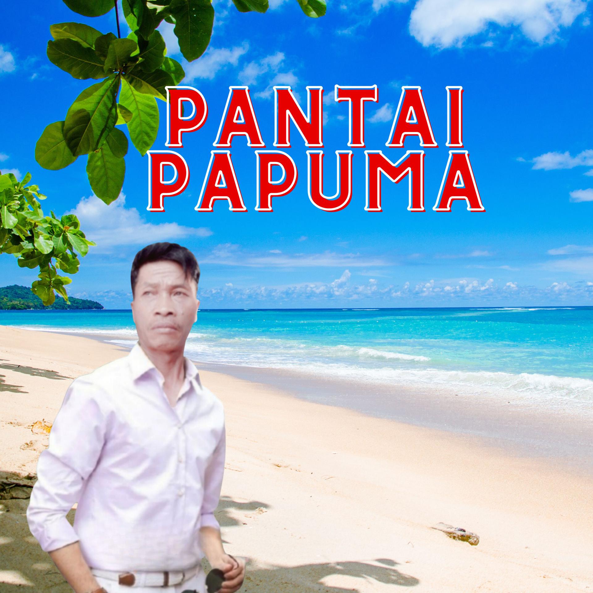 Постер альбома Pantai Papuma