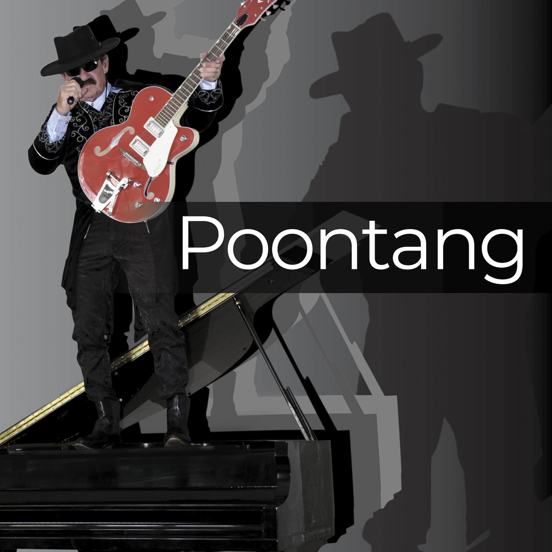 Постер альбома Poontang