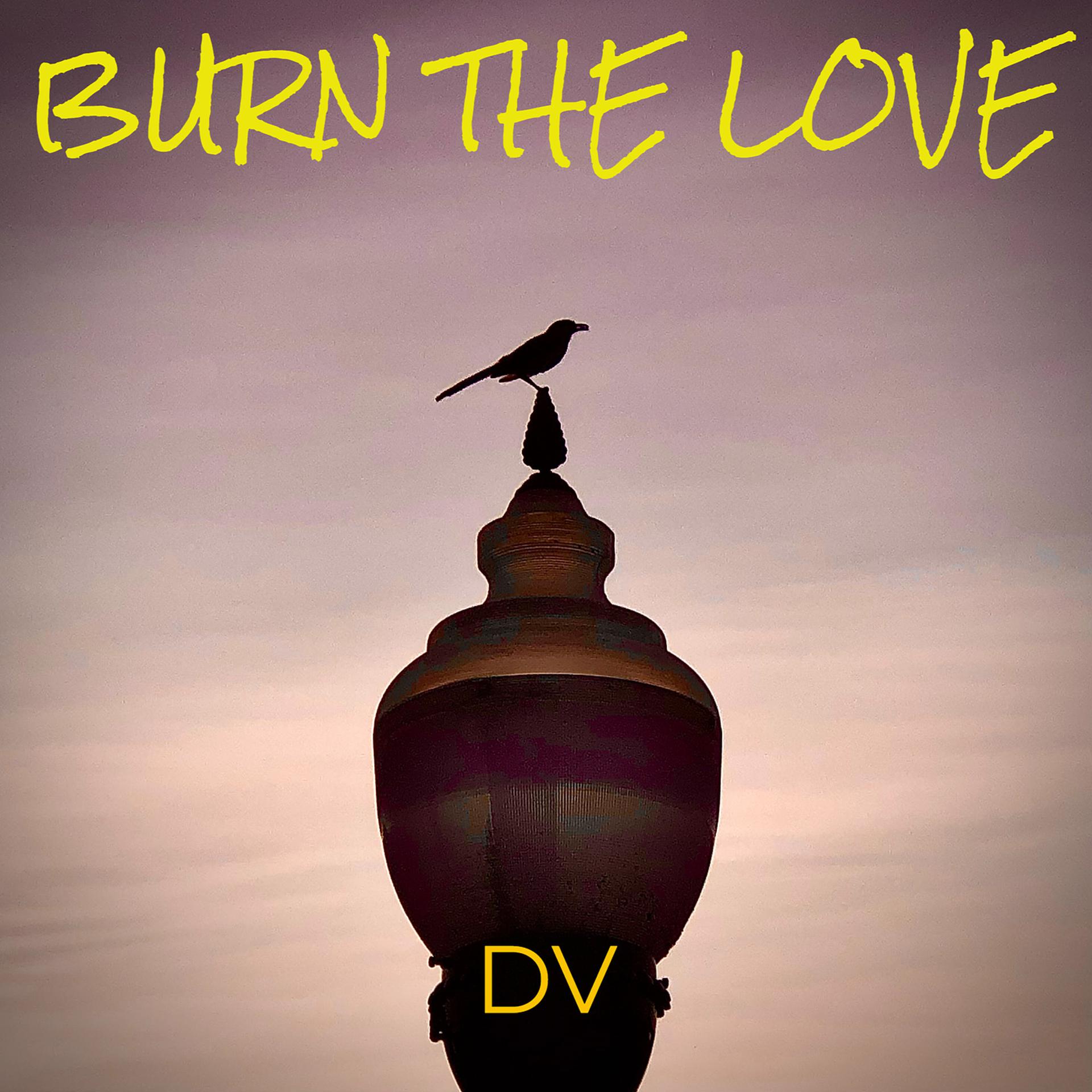 Постер альбома Burn the Love