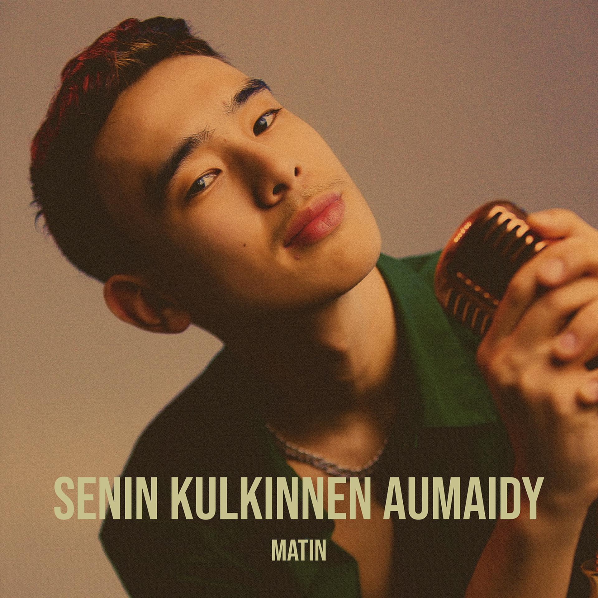 Постер альбома Senin Kulkinnen Aumaidy