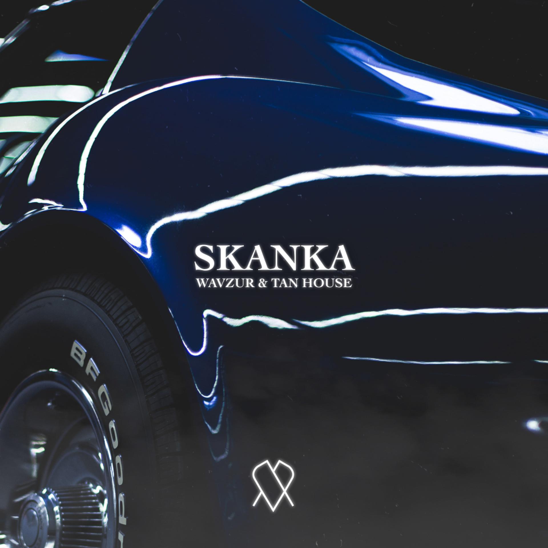 Постер альбома Skanka