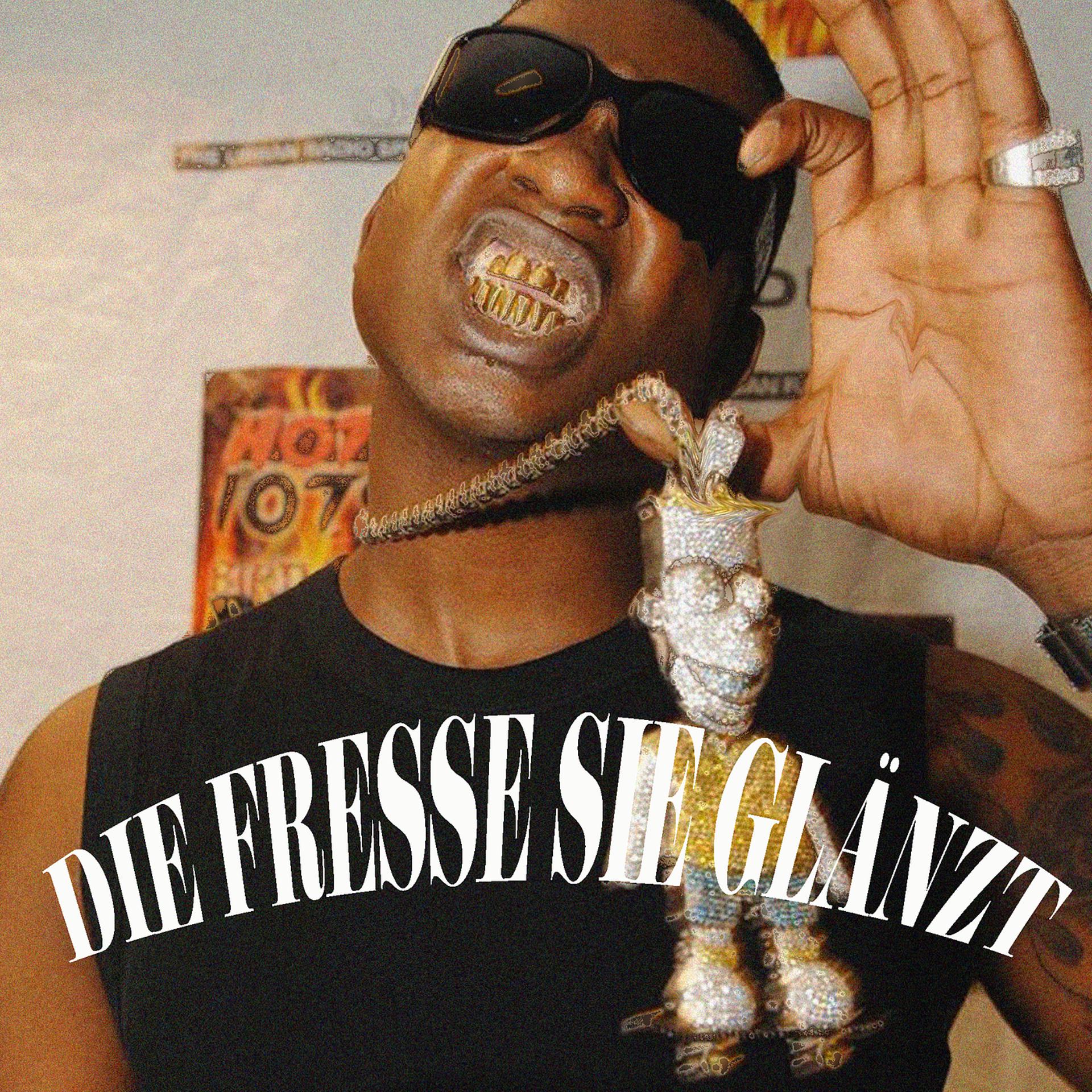 Постер альбома Die Fresse Sie Glänzt