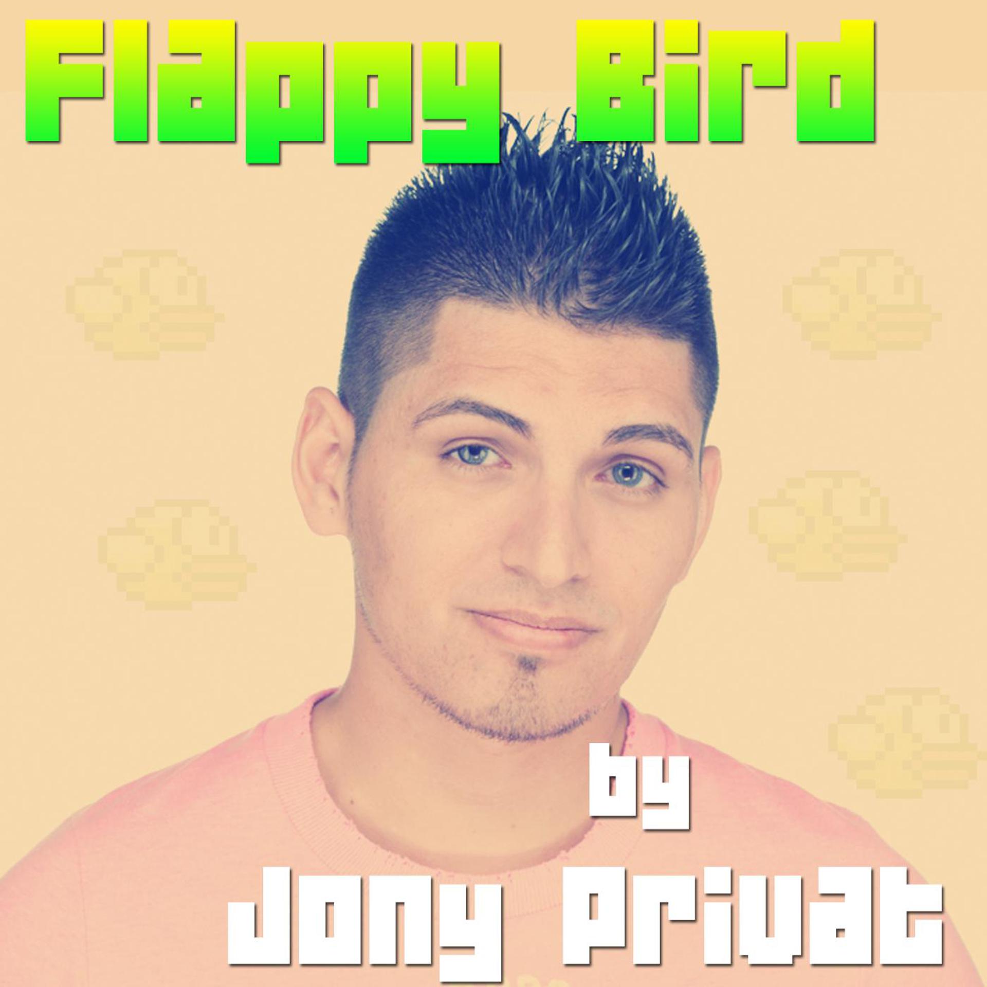 Постер альбома Flappy Bird