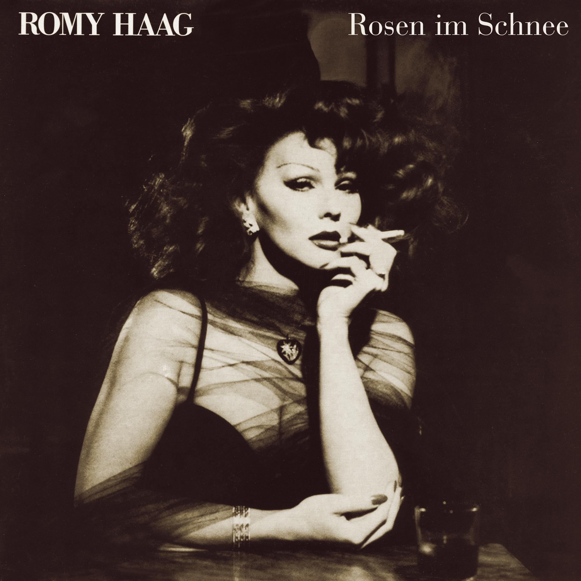 Постер альбома Rosen im Schnee