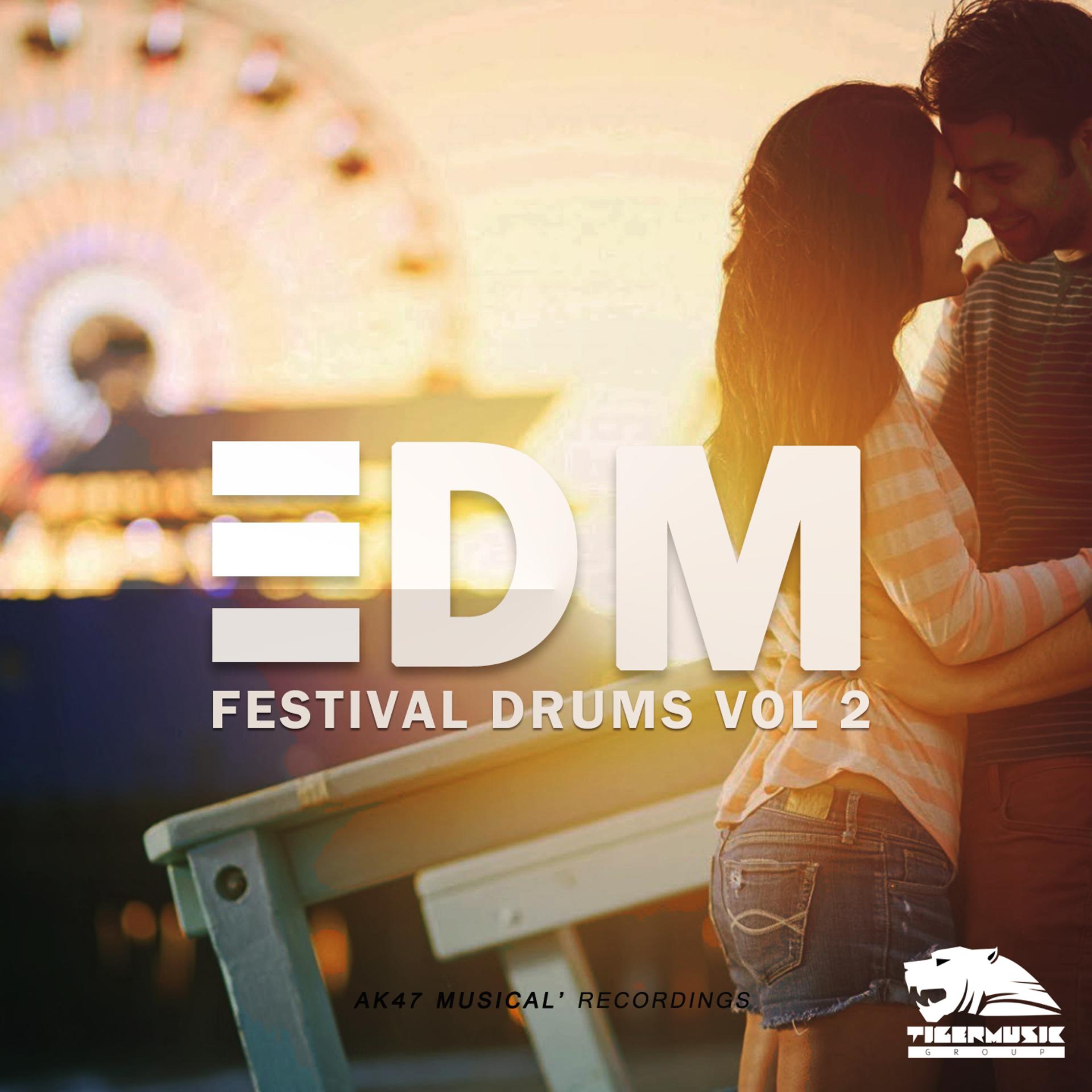 Постер альбома EDM Festival Drums, Vol. 2