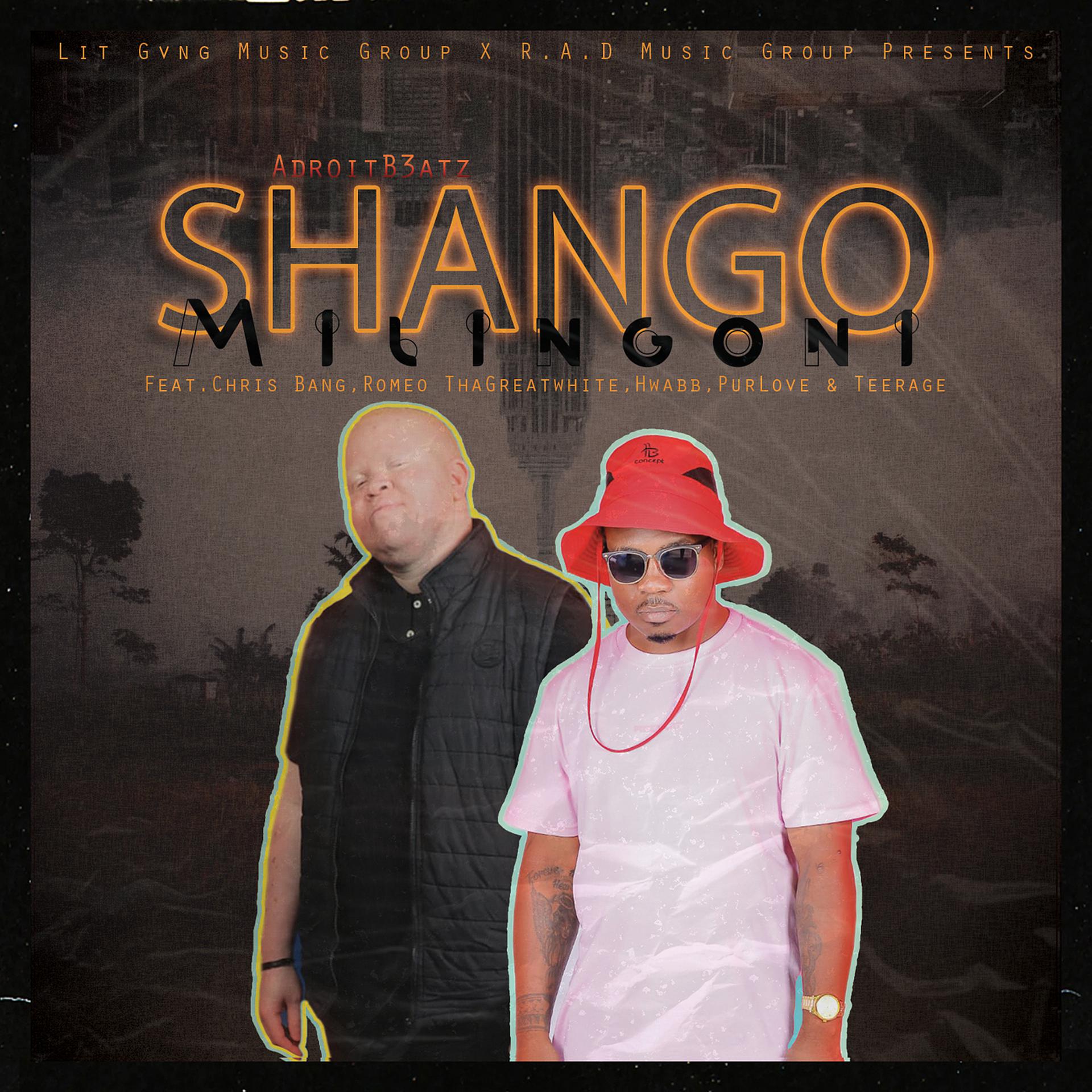 Постер альбома Shango Milingoni