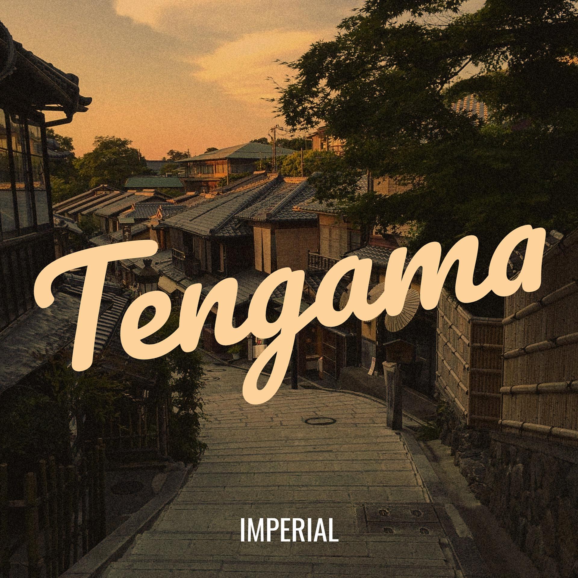 Постер альбома Tengama