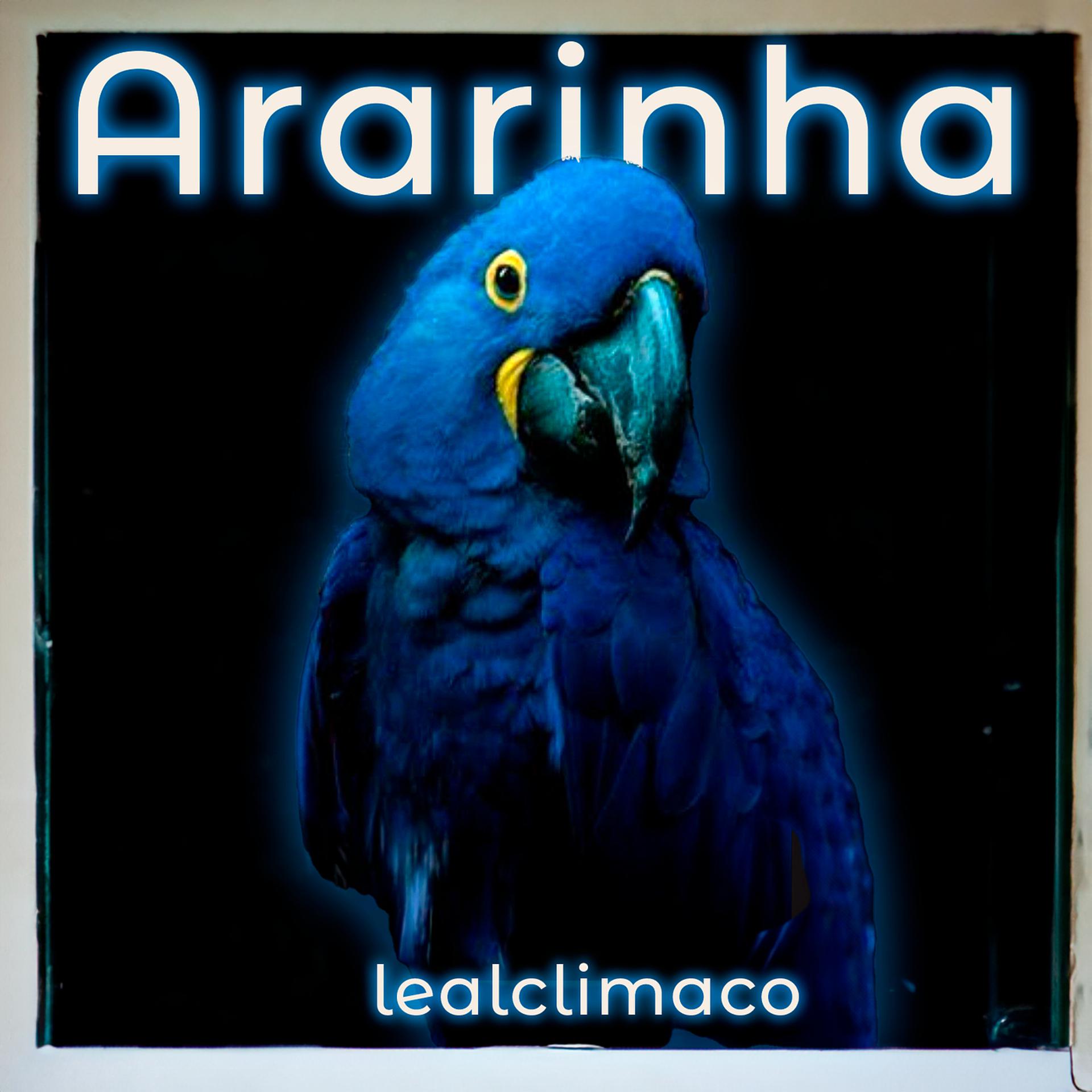Постер альбома Ararinha