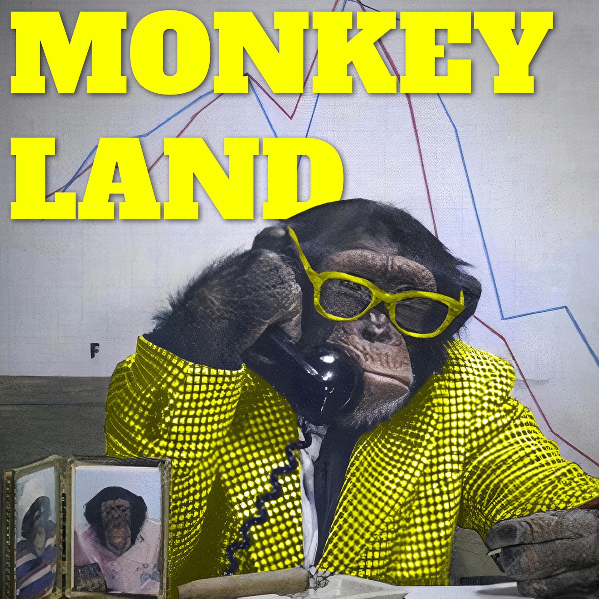Постер альбома Monkey Land