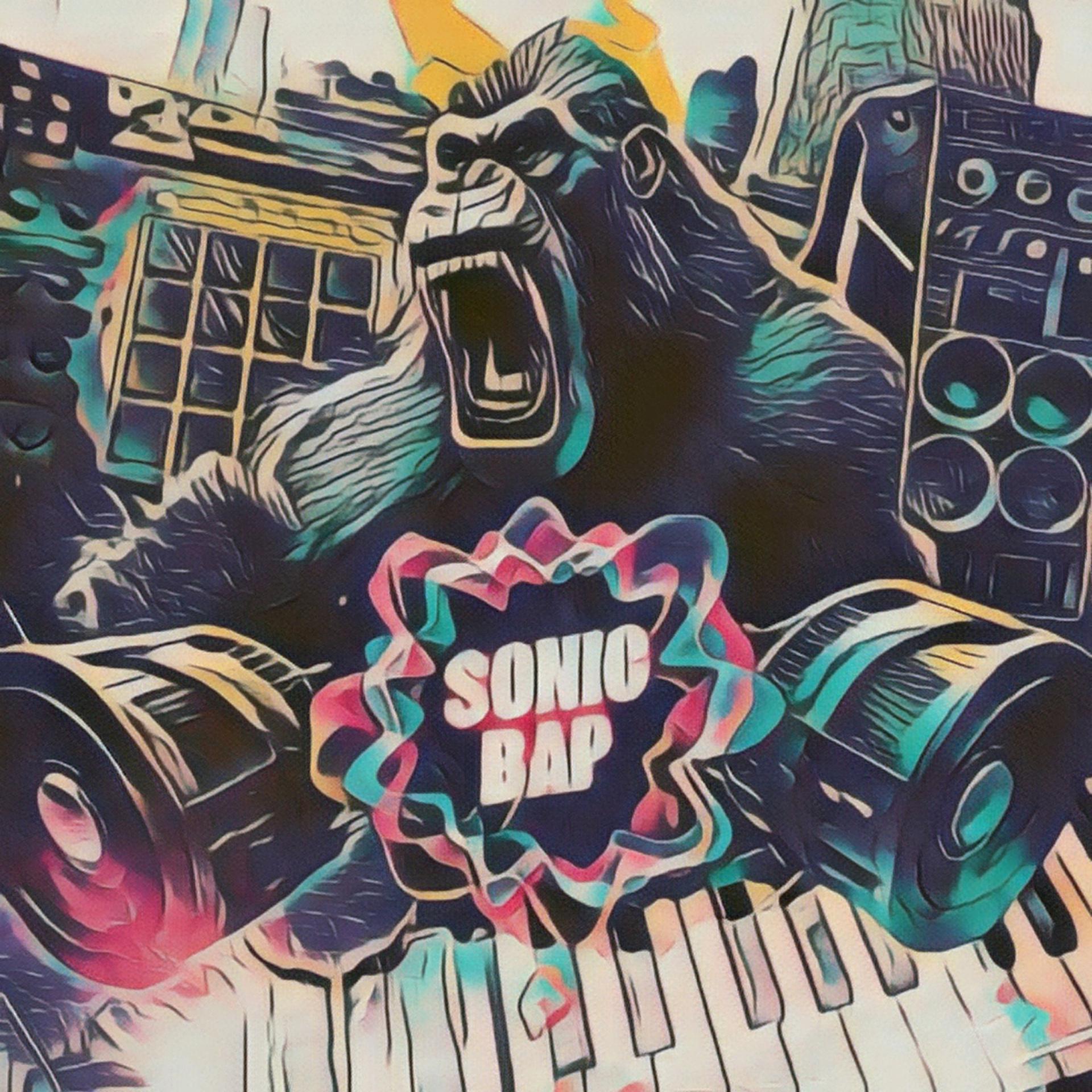 Постер альбома Sonic Bap