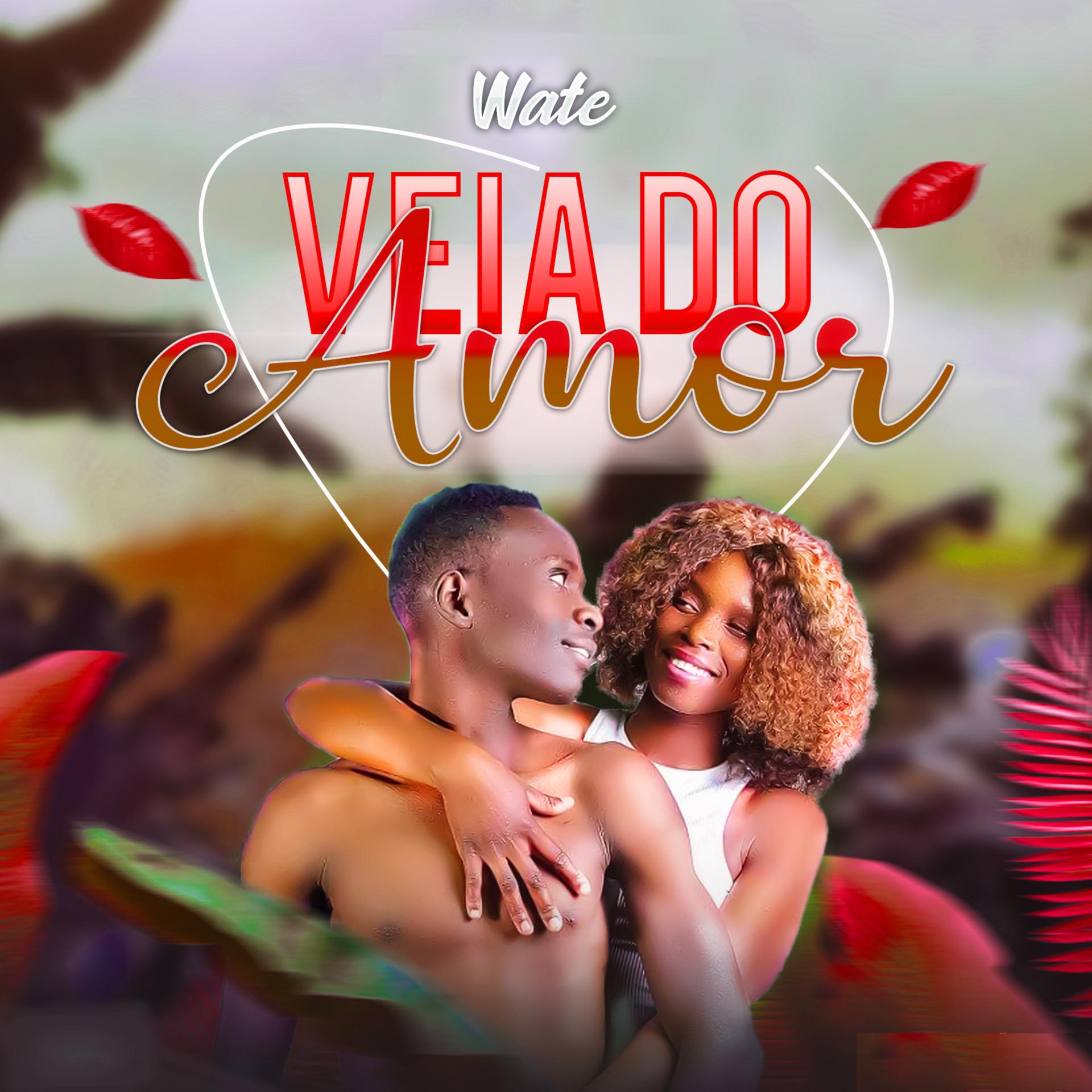 Постер альбома Veia do Amor