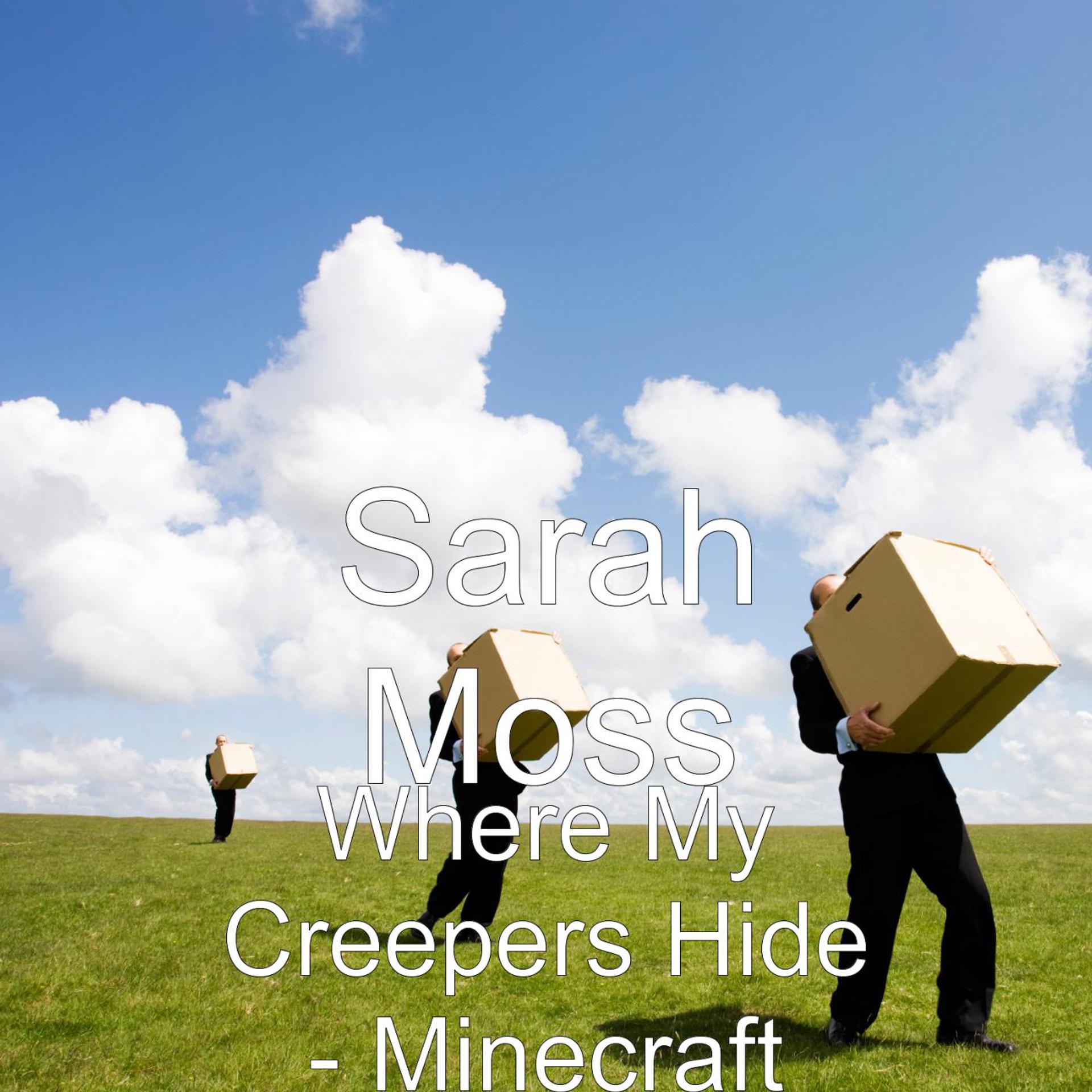 Постер альбома Where My Creepers Hide - Minecraft