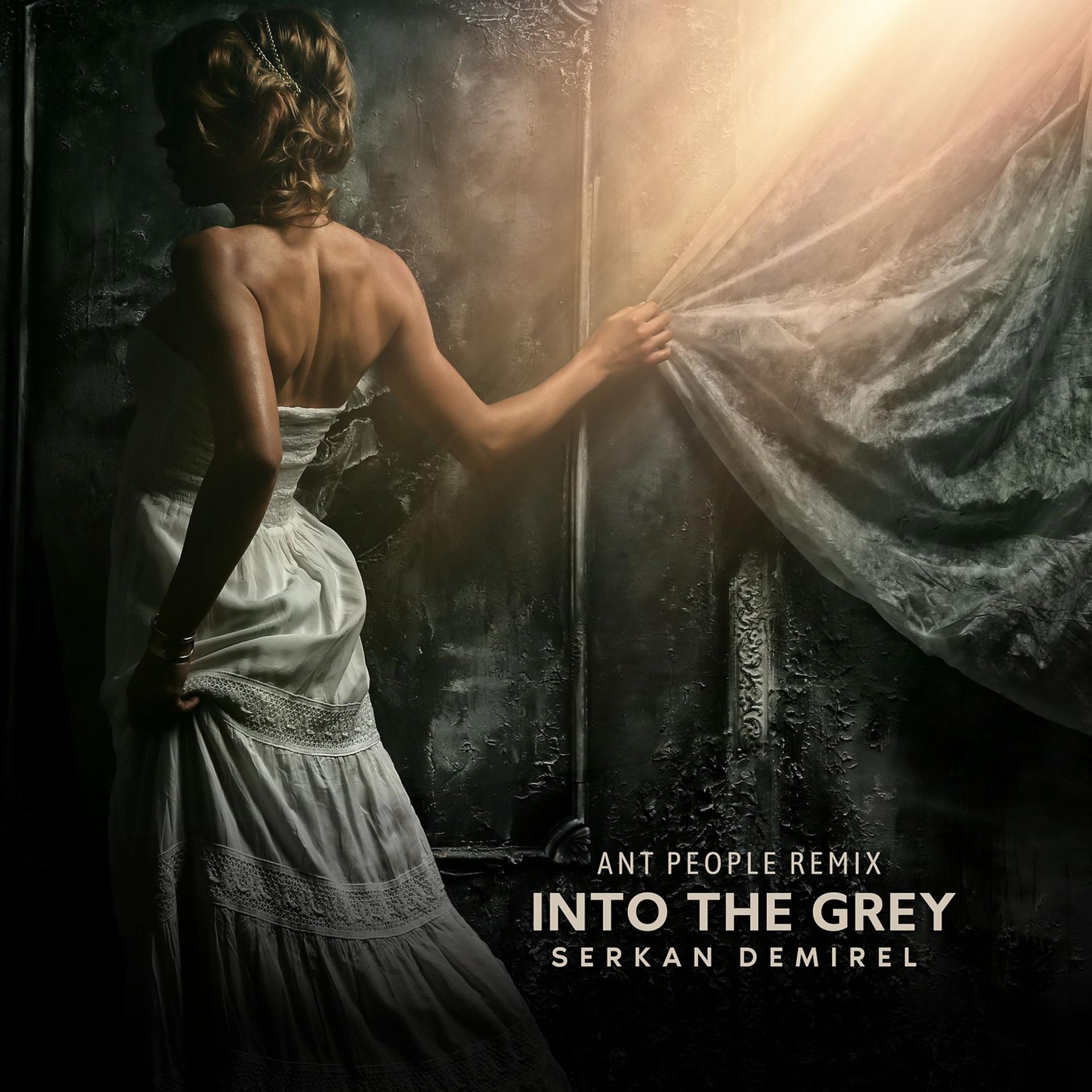 Постер альбома Into the Grey (Ant People Remix)