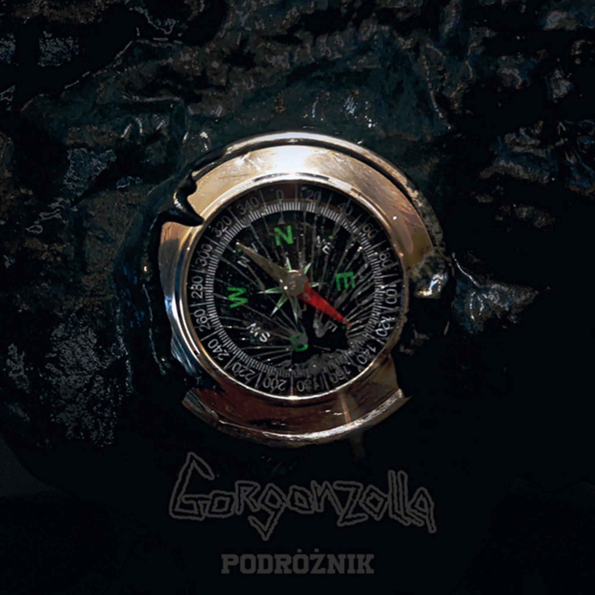 Постер альбома Podróżnik