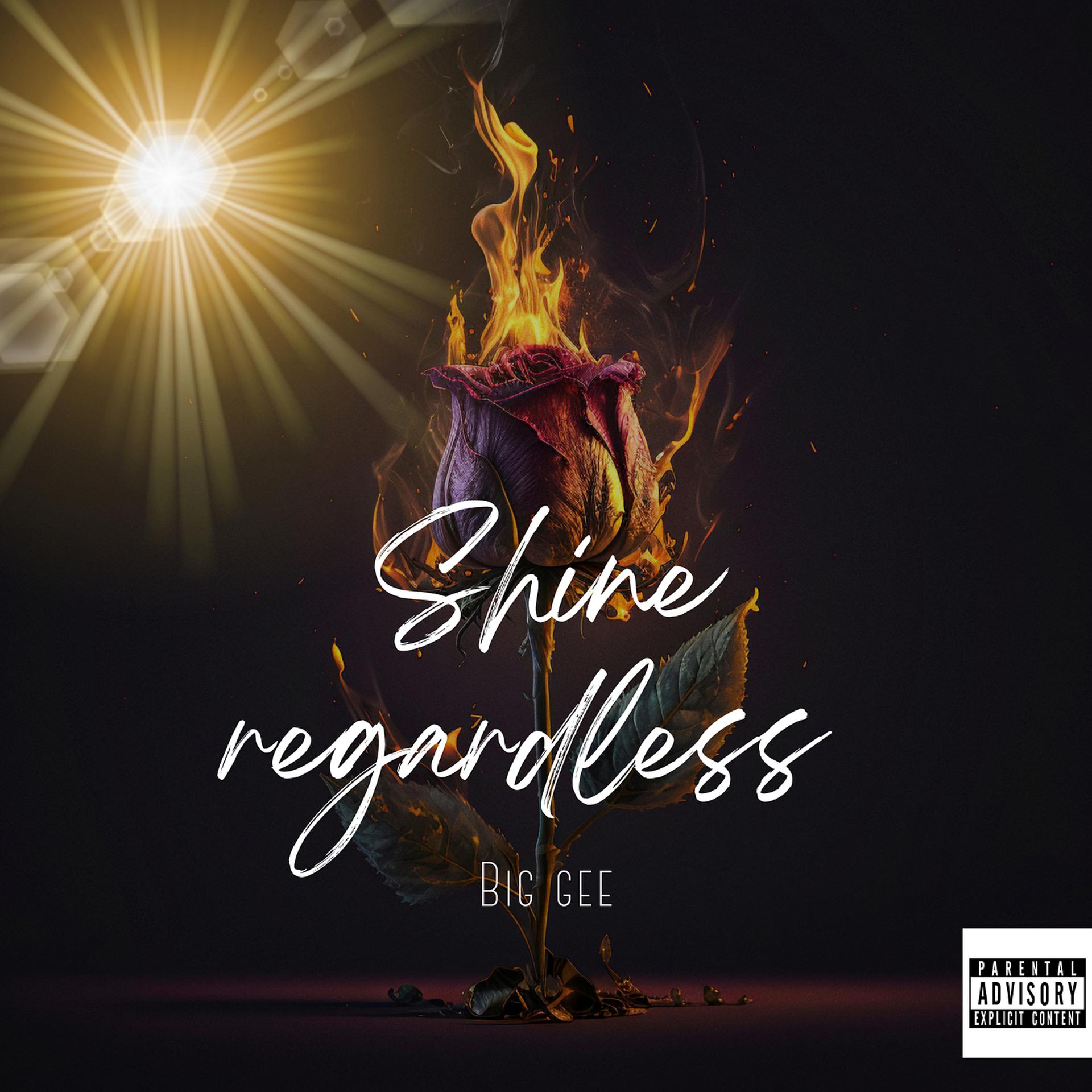 Постер альбома Shine Regardless