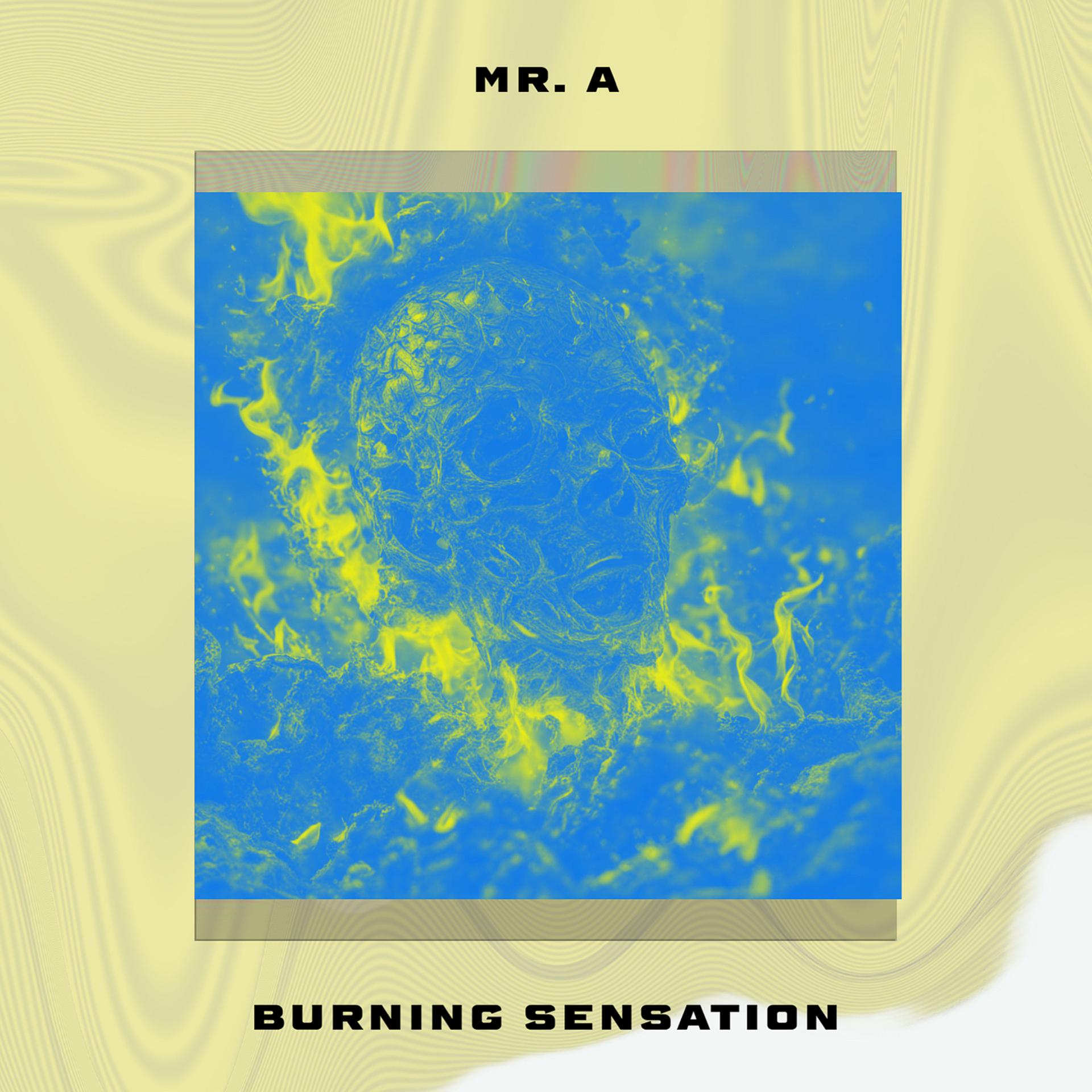 Постер альбома Burning Sensation