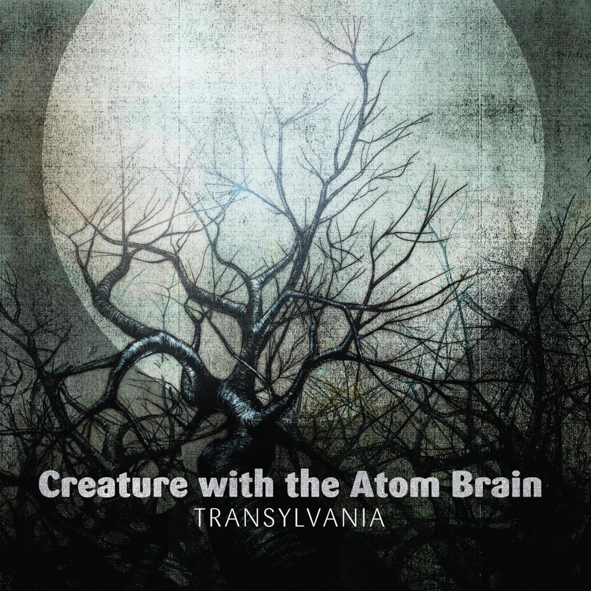 Постер альбома Transylvania
