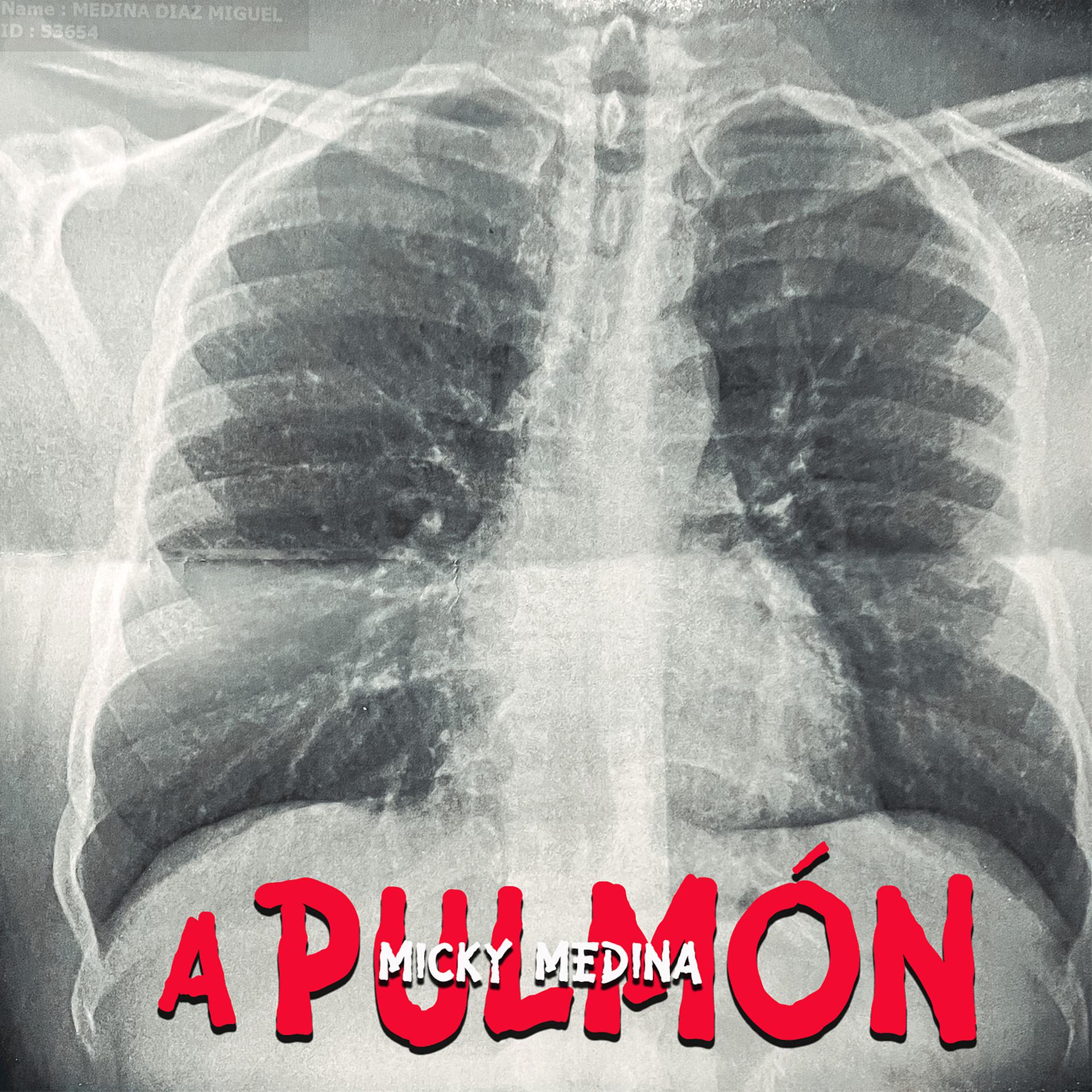 Постер альбома A Pulmon