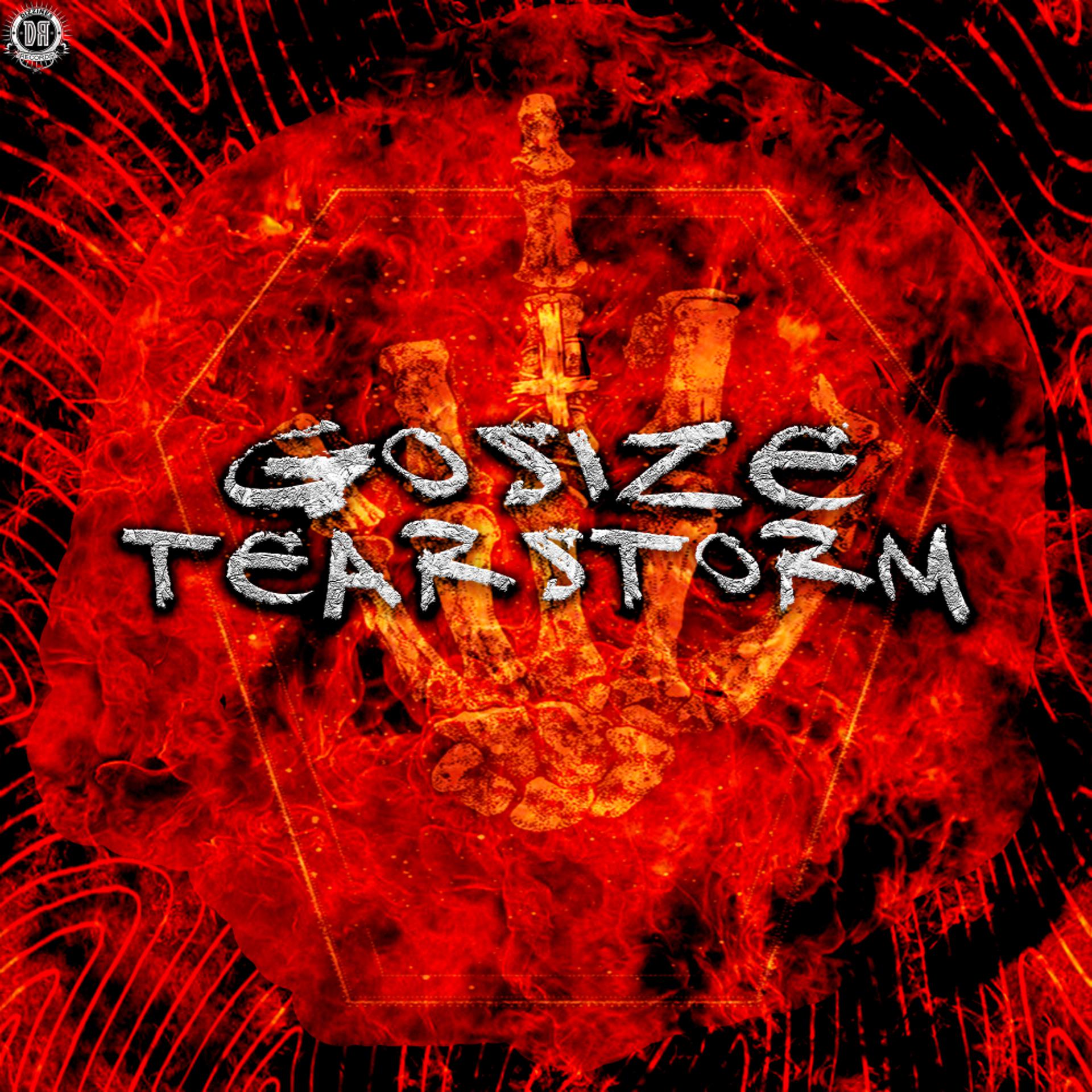 Постер альбома Tearstorm