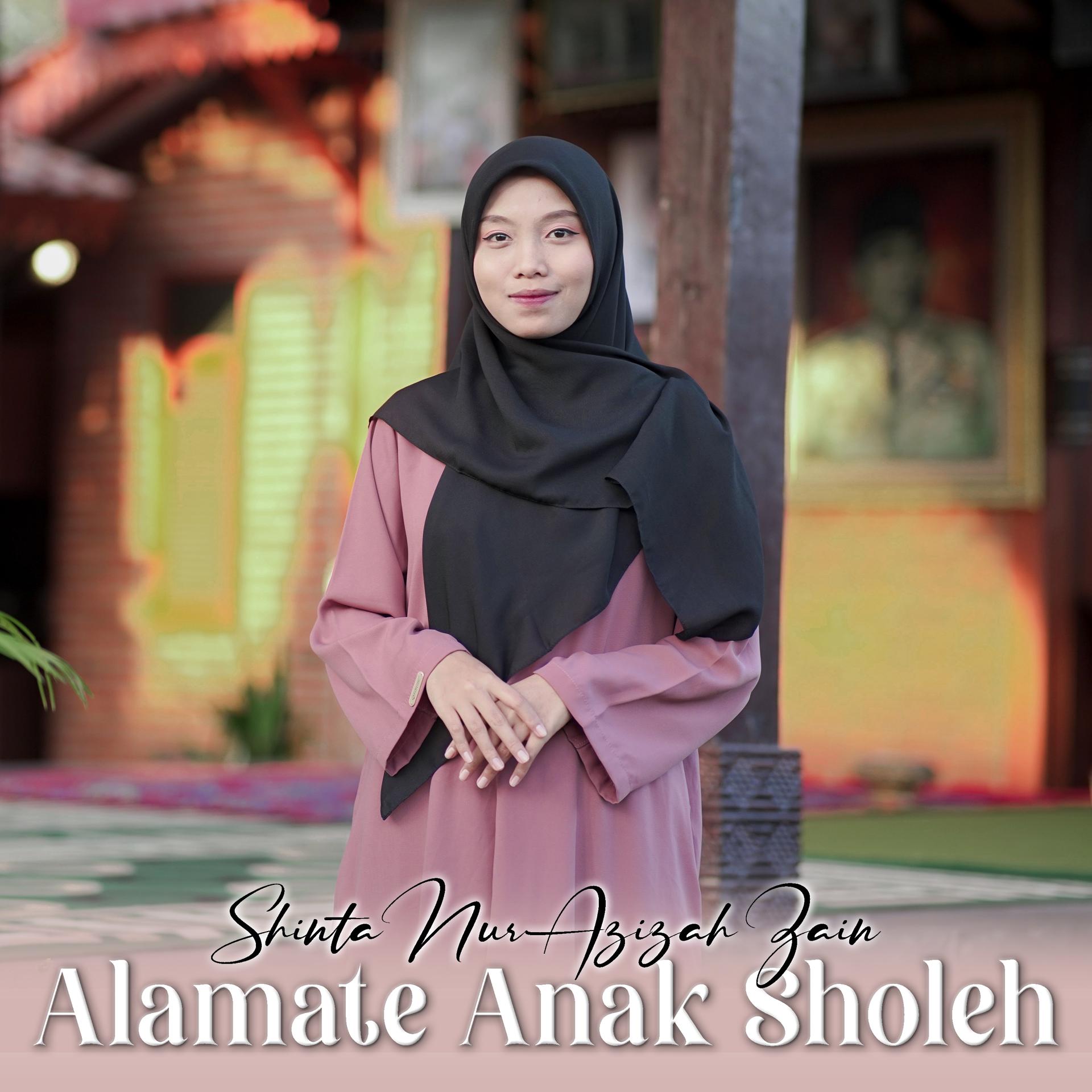 Постер альбома Alamate Anak Sholeh