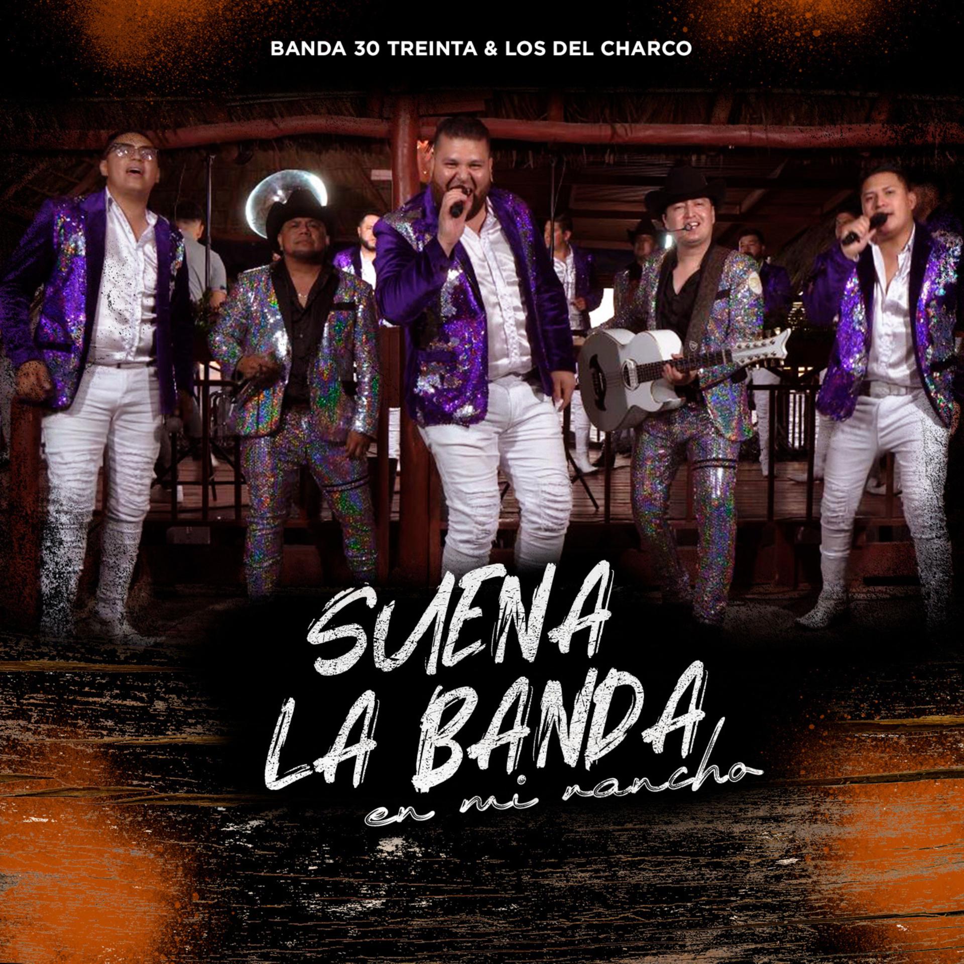 Постер альбома Suena La Banda En Mi Rancho