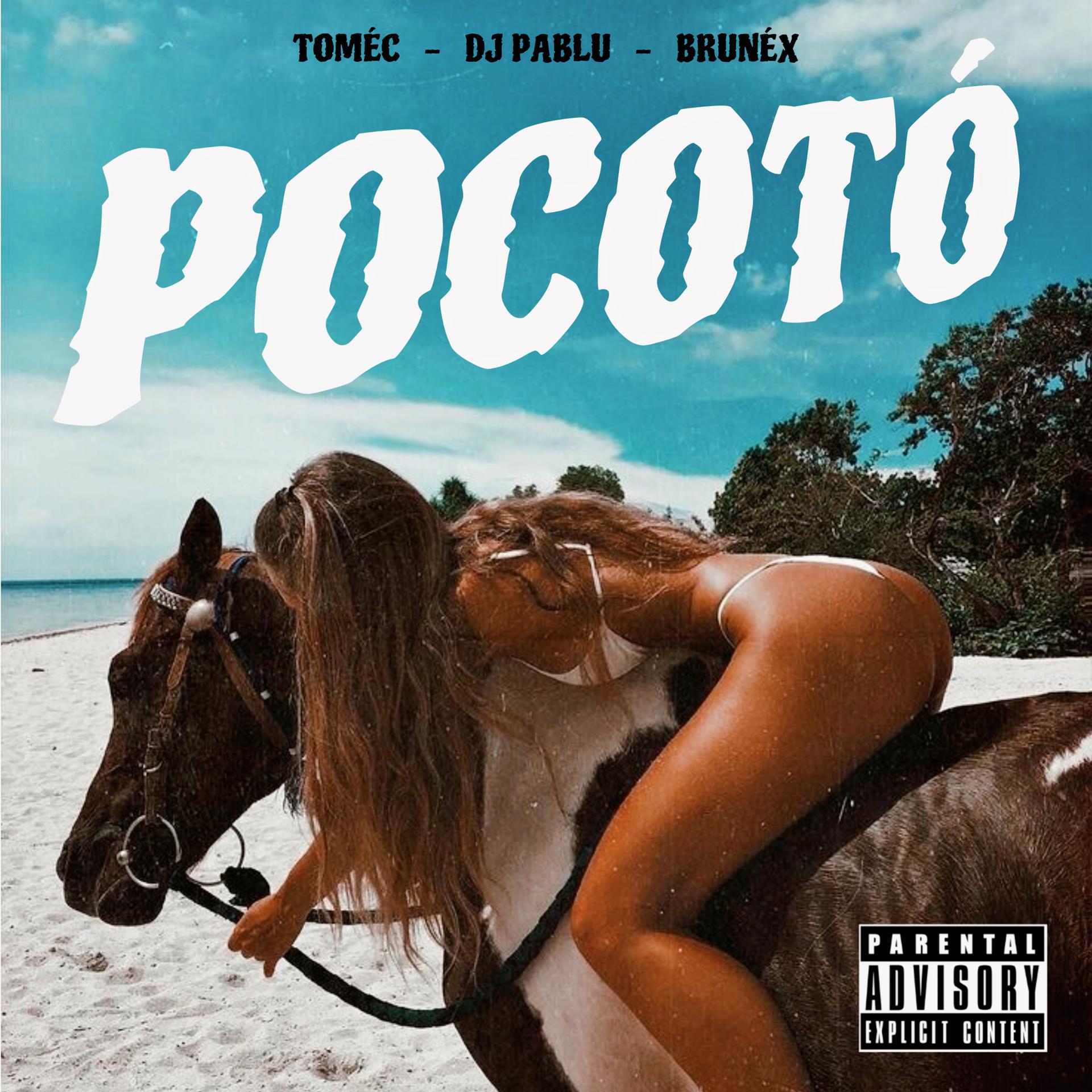 Постер альбома Pocotó