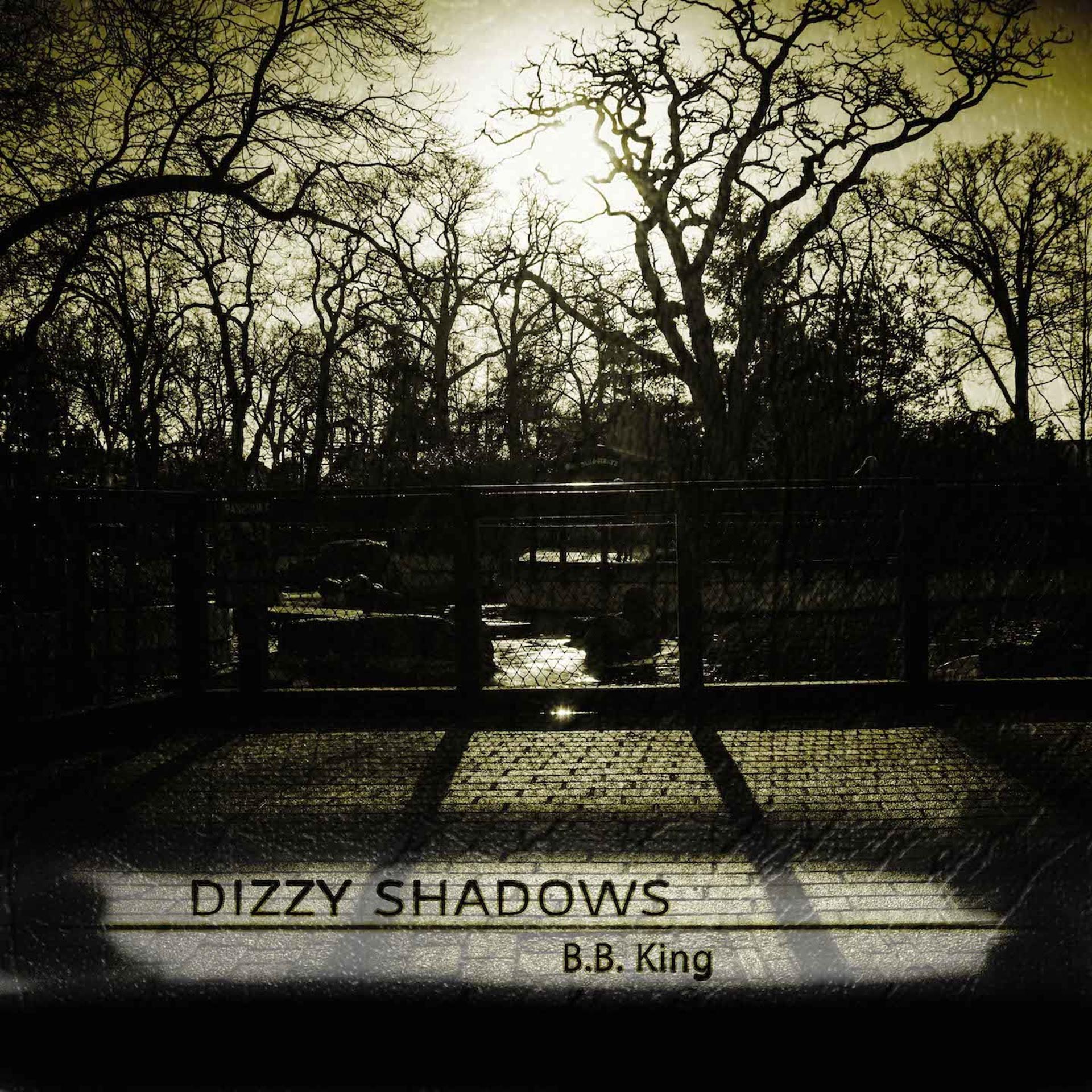 Постер альбома Dizzy Shadows