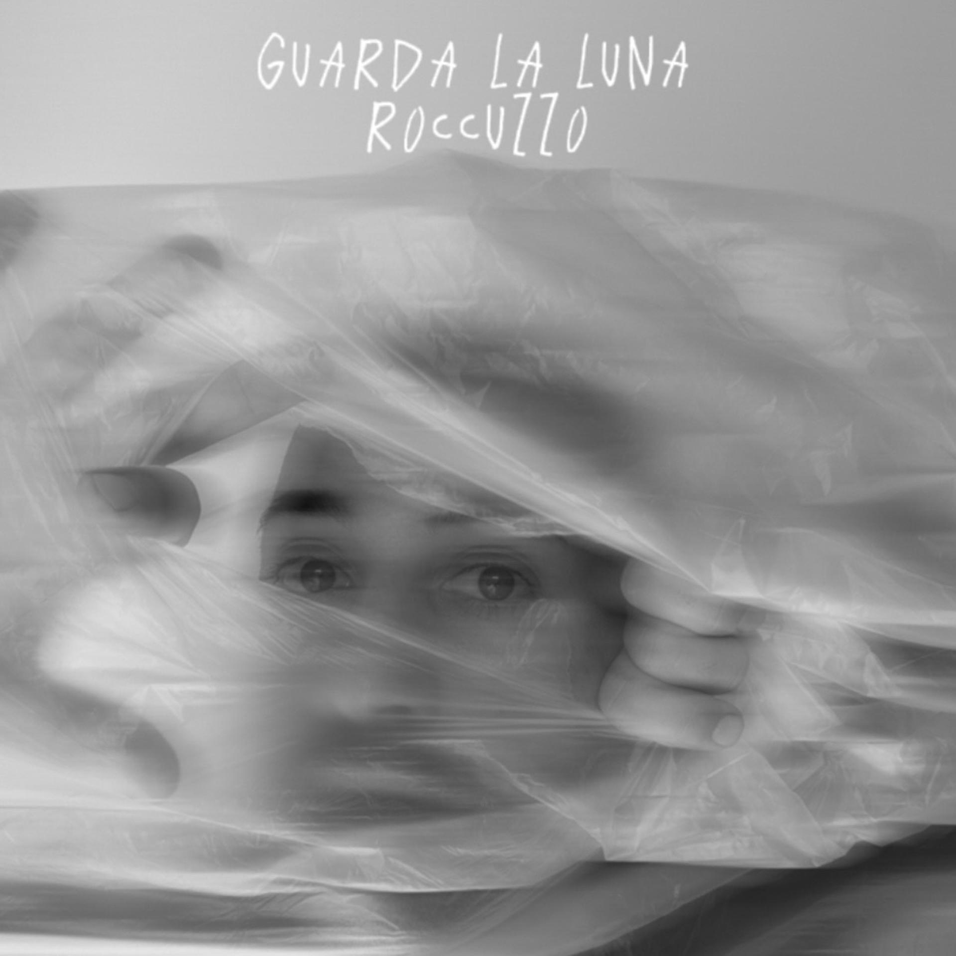 Постер альбома Guarda la Luna