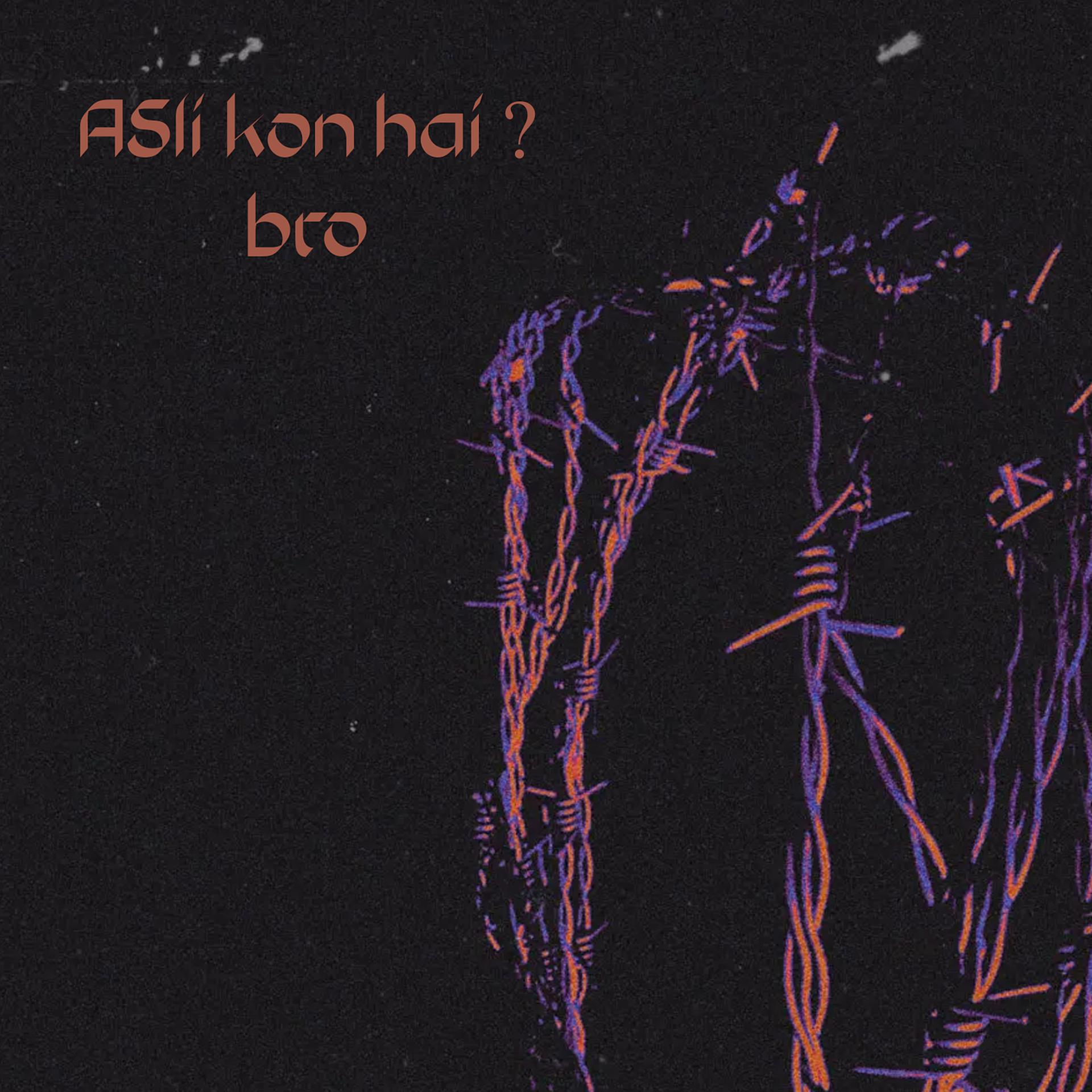 Постер альбома Asli Kon Hai ? Bro