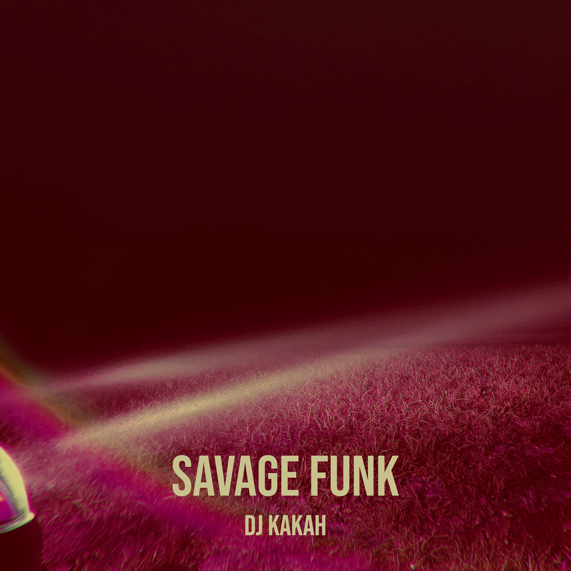 Постер альбома Savage Funk