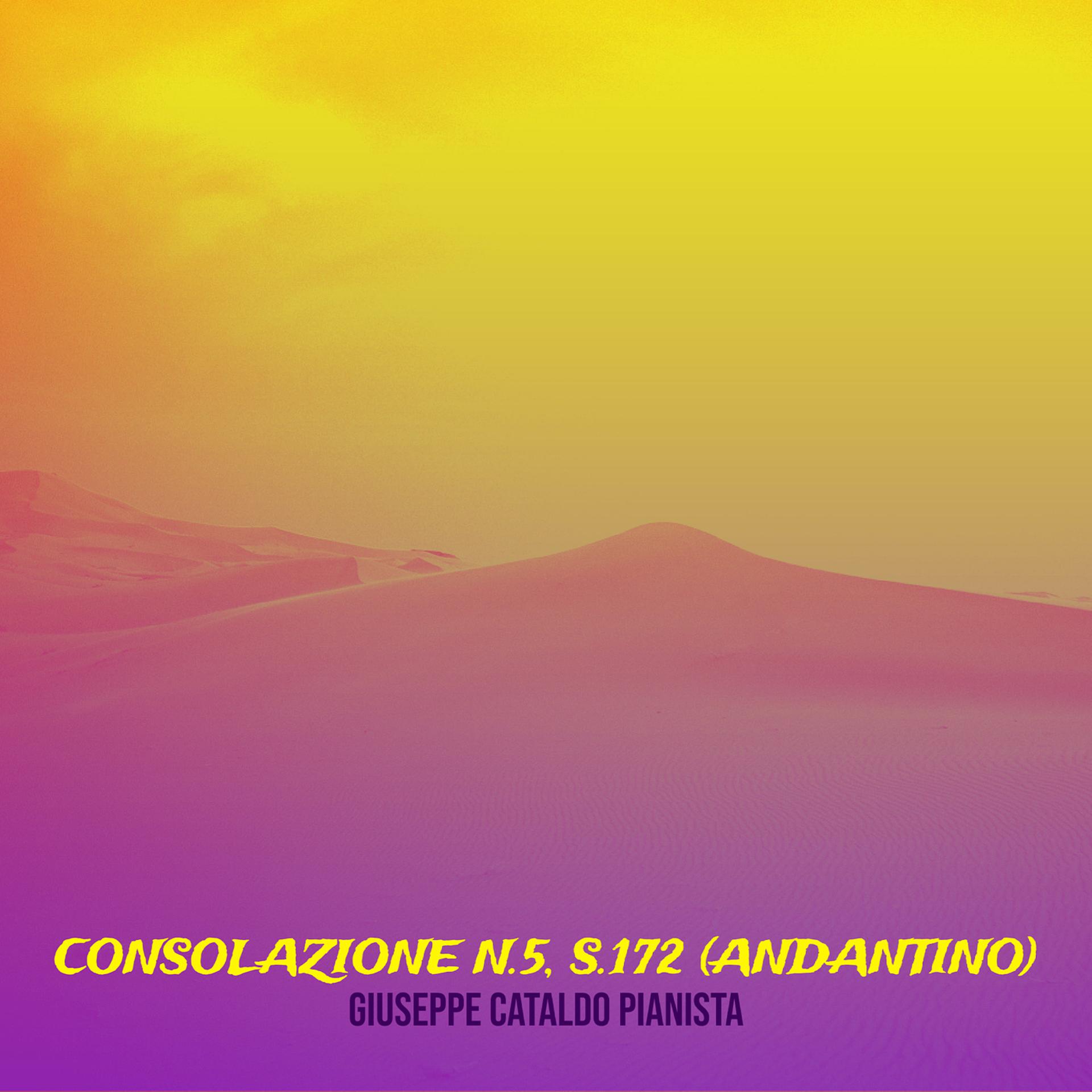 Постер альбома Consolazione n.5, S.172 (andantino)