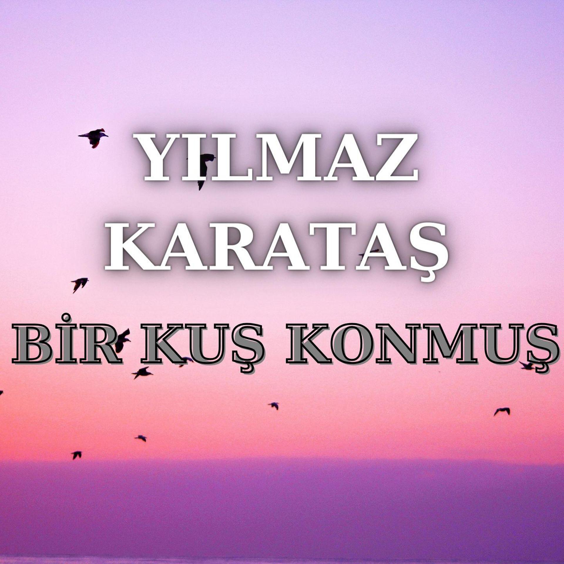 Постер альбома Bir Kuş Konmuş