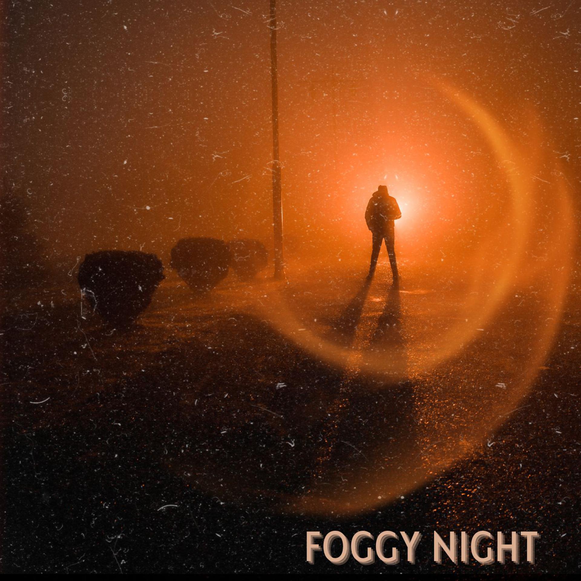 Постер альбома Foggy night