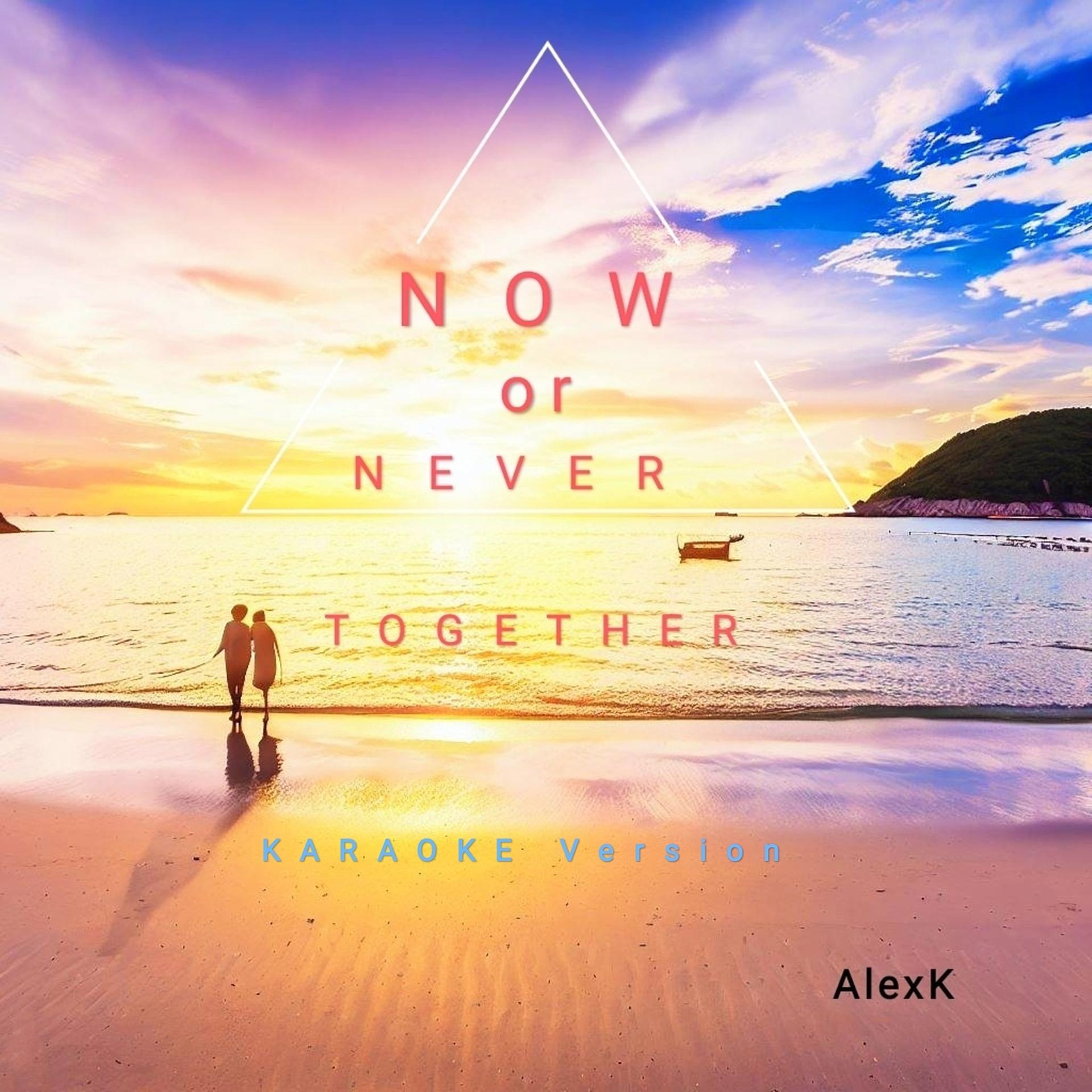 Постер альбома Together Now or Never (Karaoke Version)