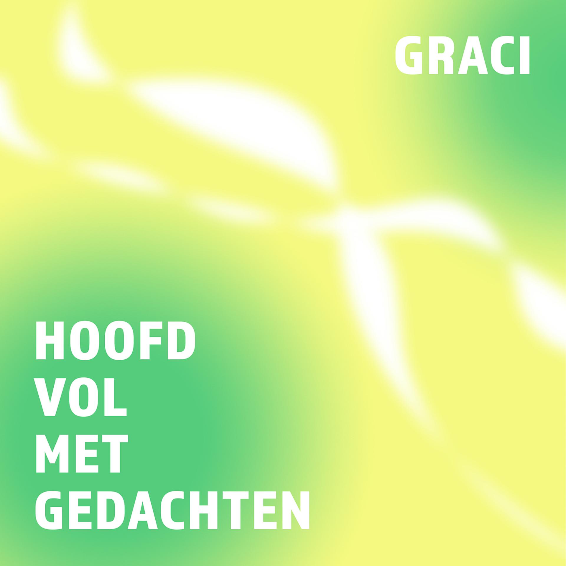 Постер альбома Hoofd Vol Met Gedachten
